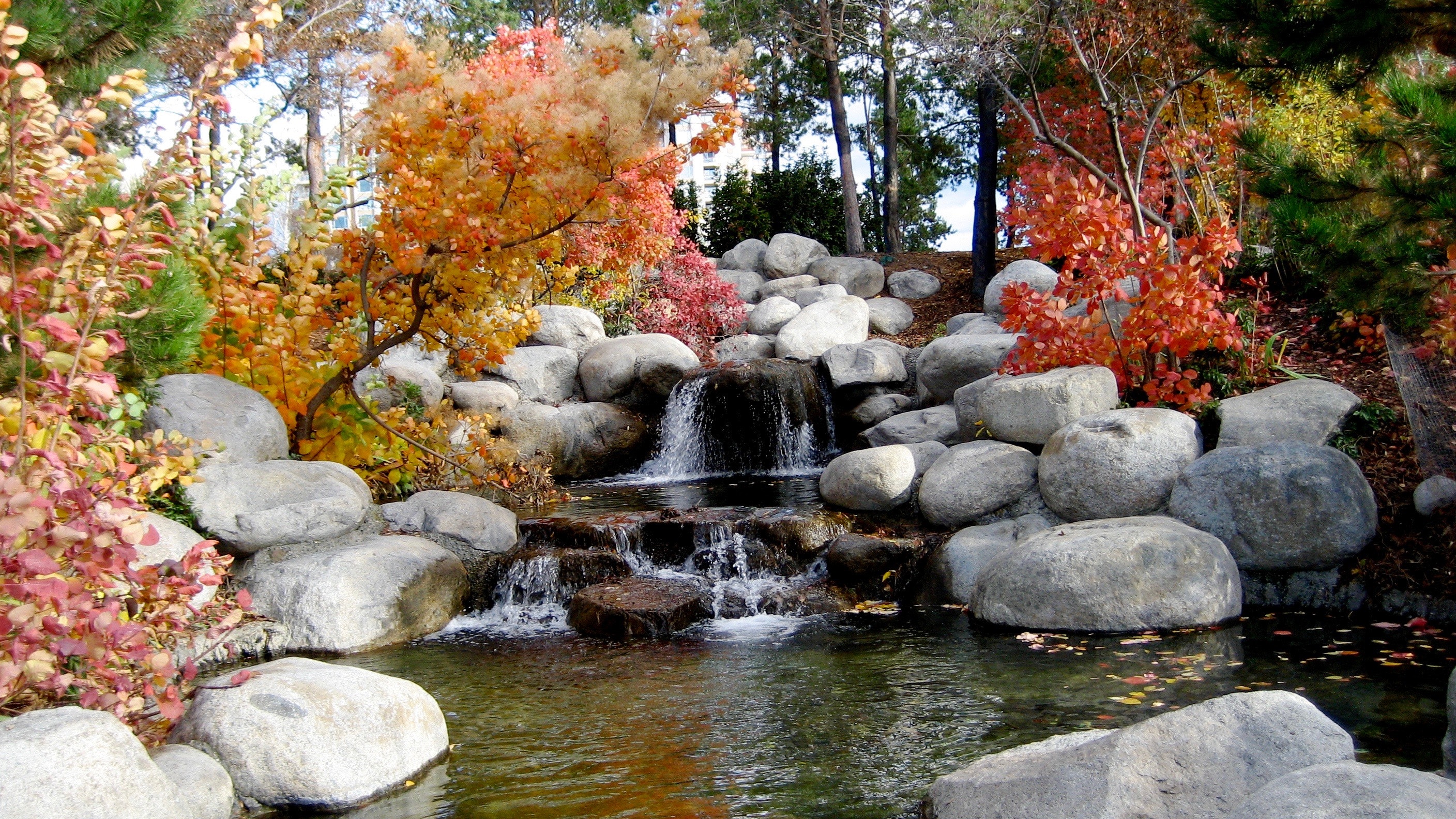 Clear body of water photo