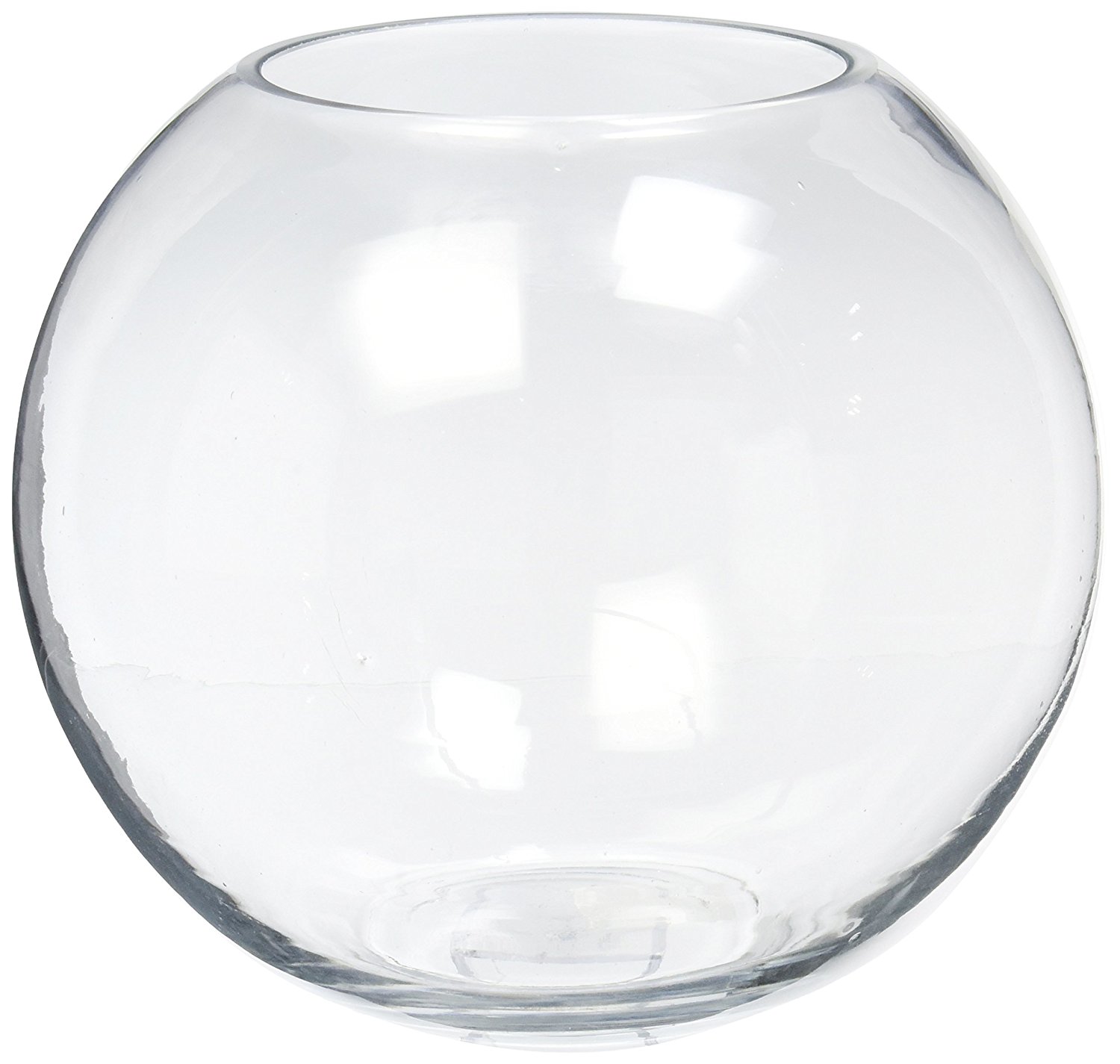 Amazon.com: WGV Clear Bubble Bowl Glass Vase with WGV Glass Cleaning ...