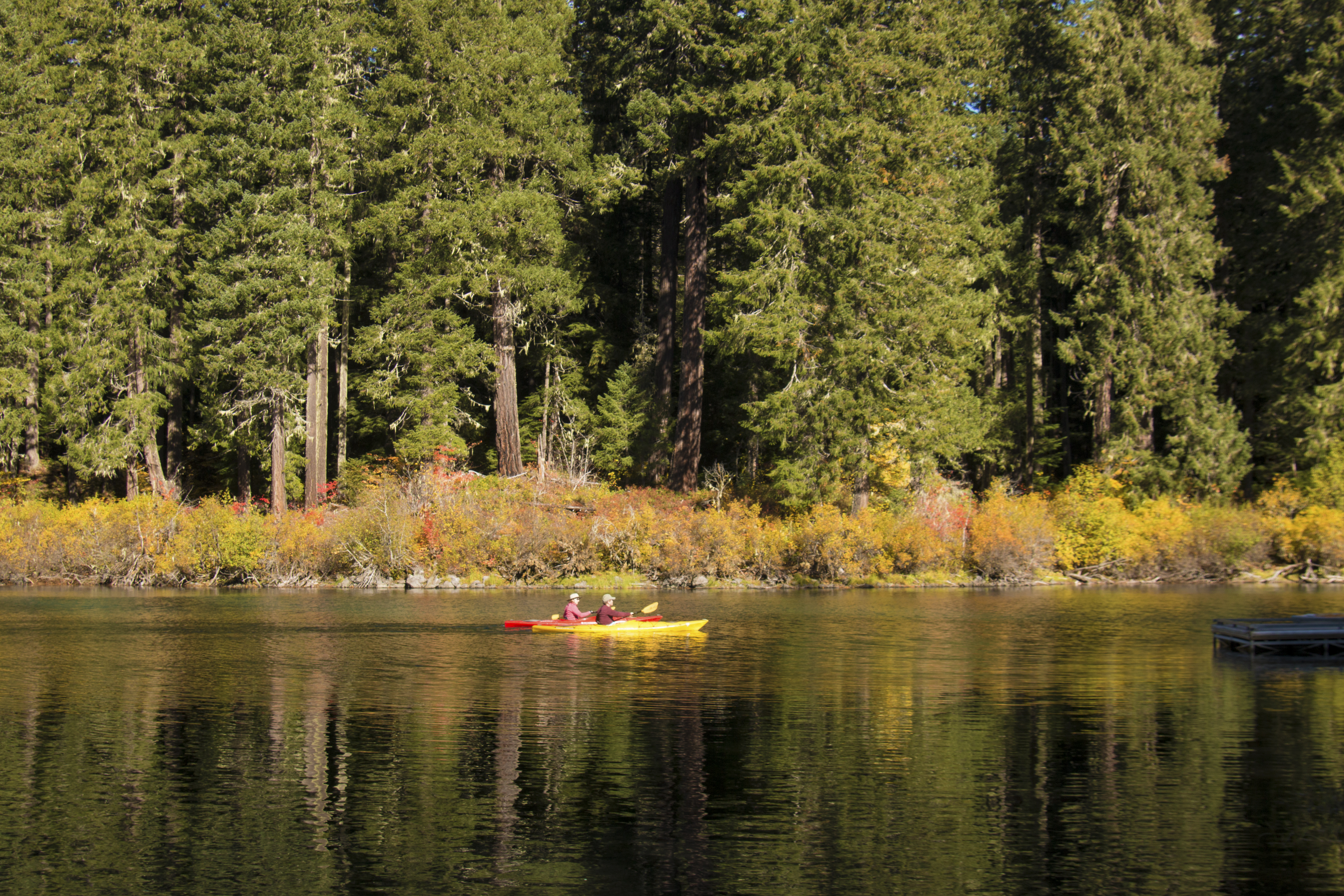 Clear lake, linn county, oregon, canoeing photo