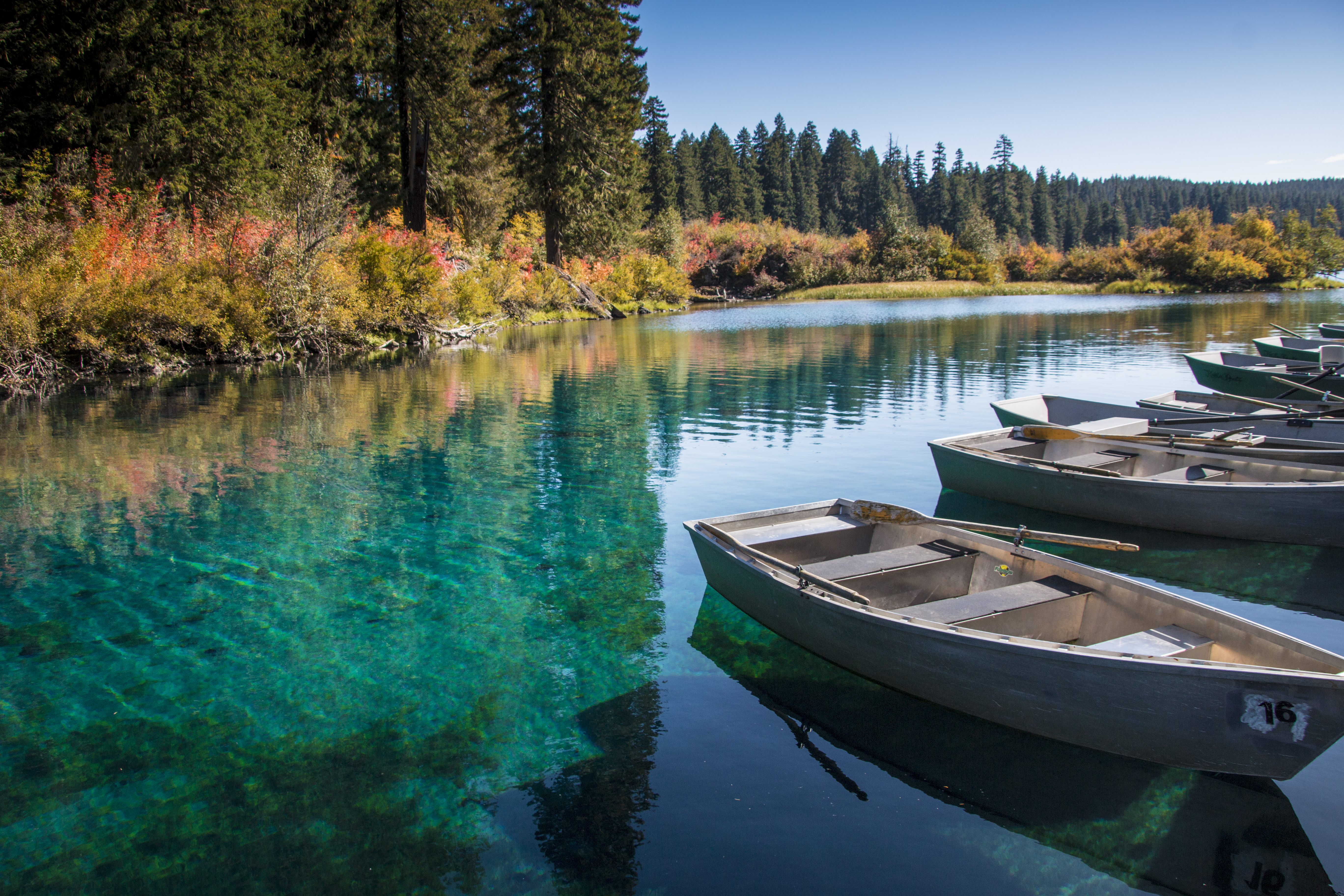 Clear Lake, Oregon, Autumn, Row Boats, Autumn, Boat, Clear Lake, Forest, HQ Photo