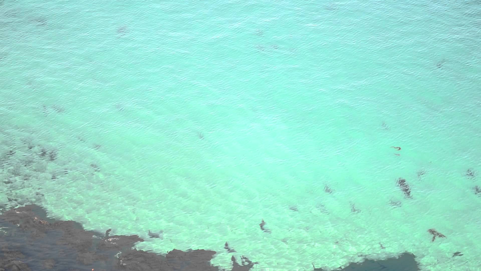 Incredibly Clear Ocean Water, Catalina Island, California - YouTube