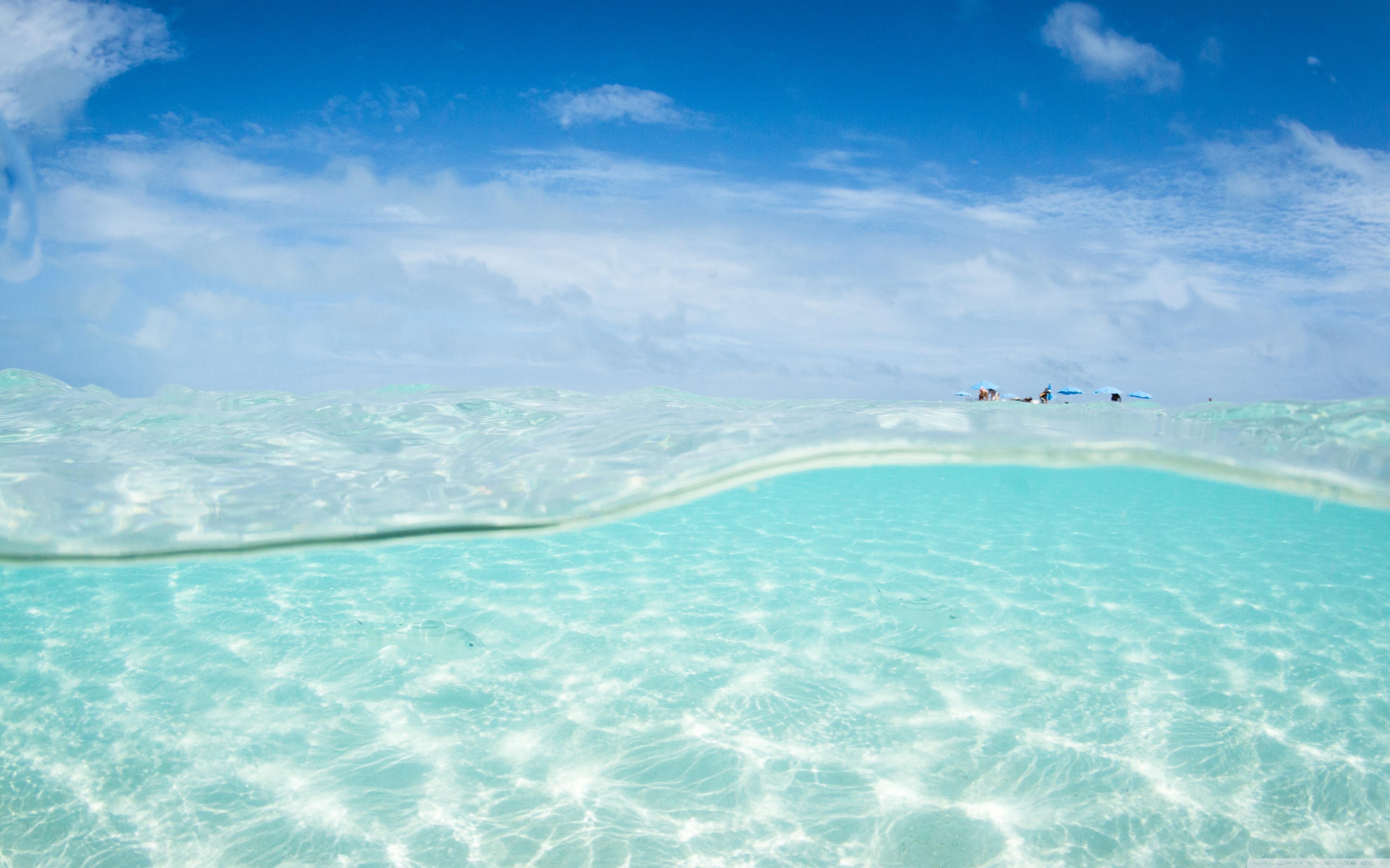Clear Ocean Water ❤ 4K HD Desktop Wallpaper for 4K Ultra HD TV ...