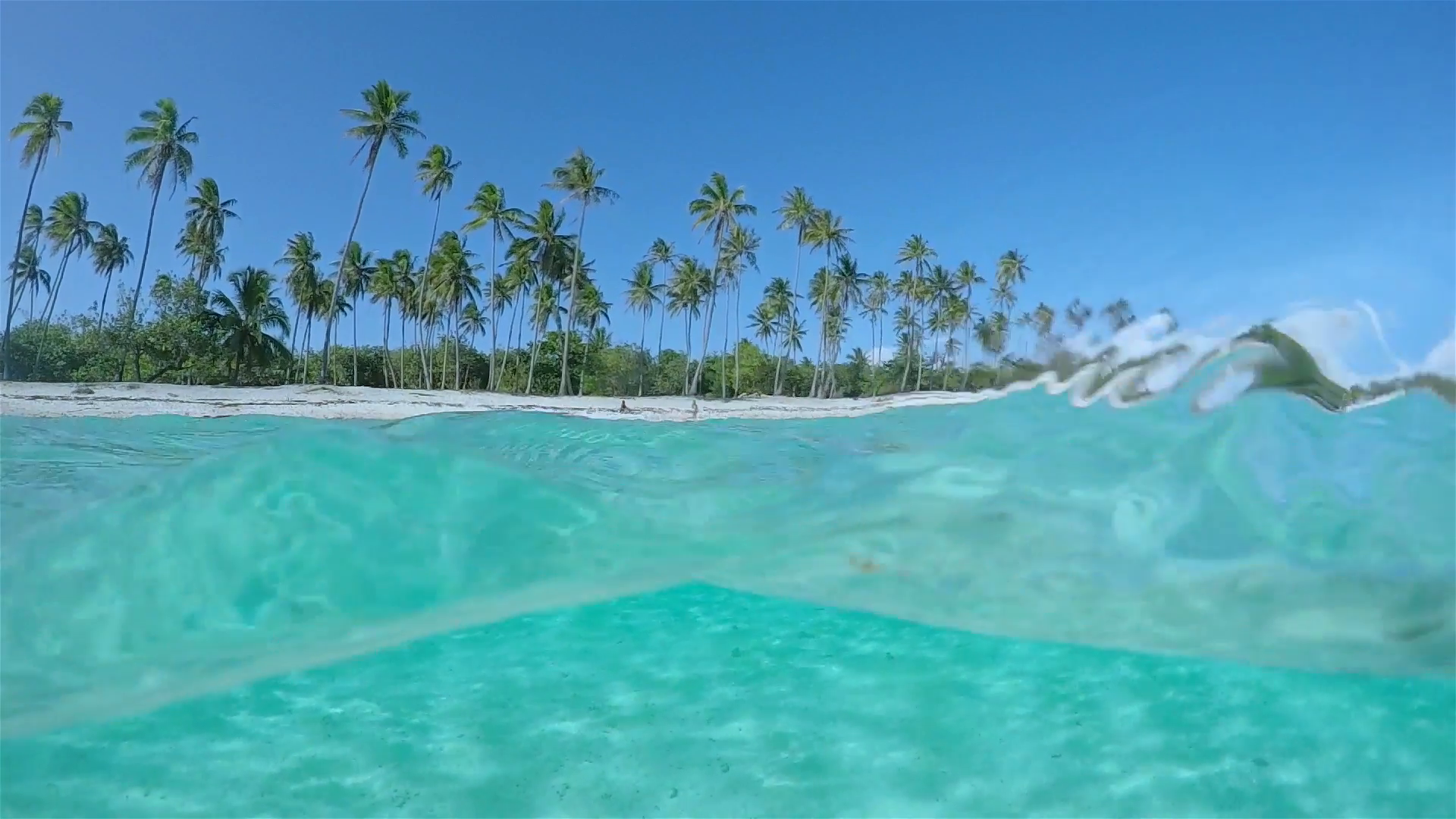 UNDERWATER SLOW MOTION: Beautiful exotic island crystal clear ocean ...