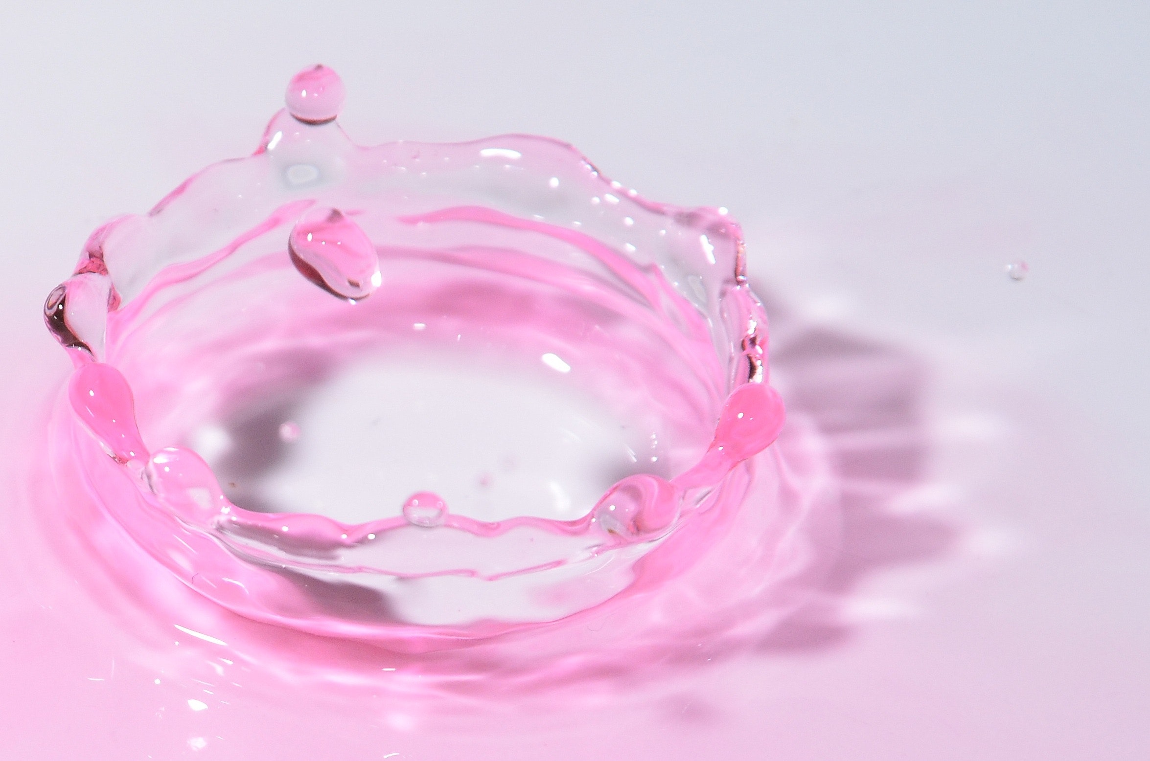 Clear pink ornament photo