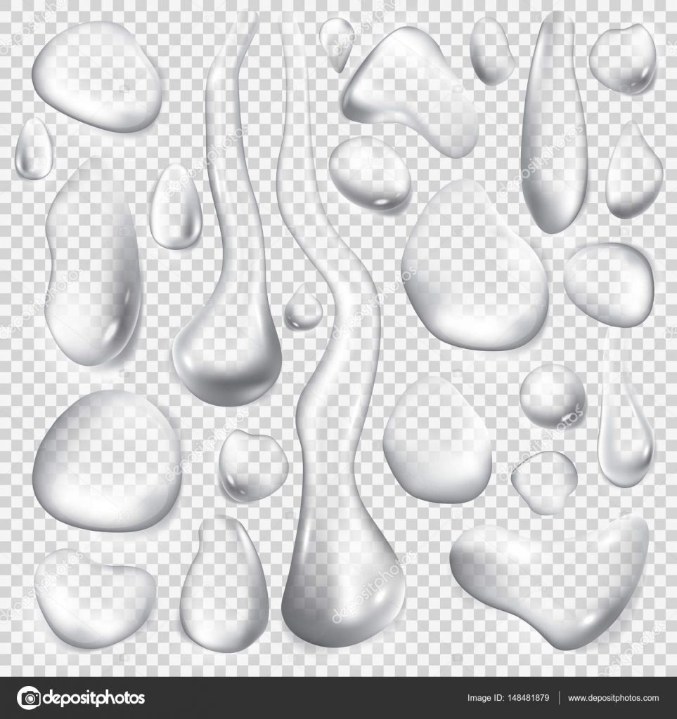 Pure Clear Water Drops — Stock Vector © GalaStudio #148481879