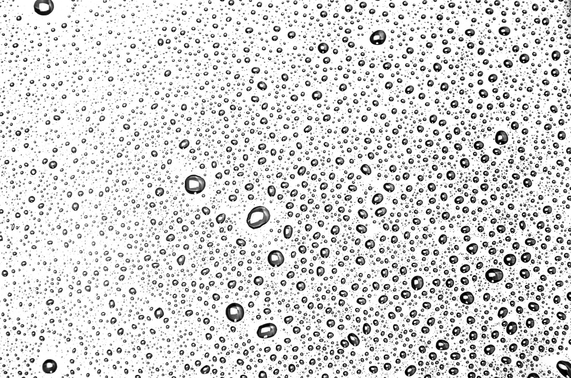 Water Drops Background Free Stock Photo - Public Domain Pictures