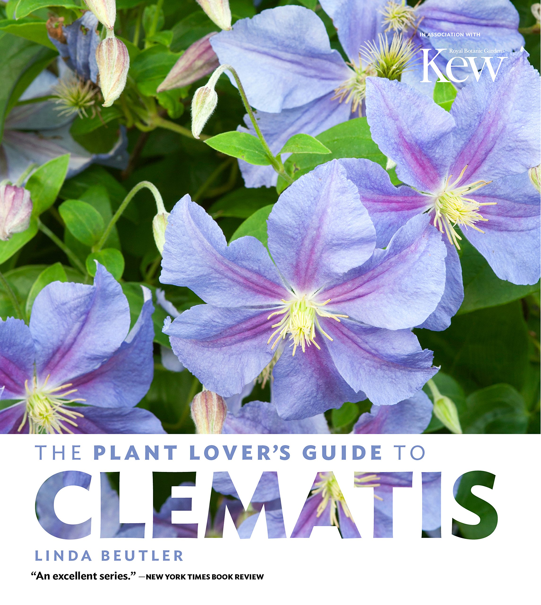 The Plant Lover's Guide to Clematis (The Plant Lover's Guides ...