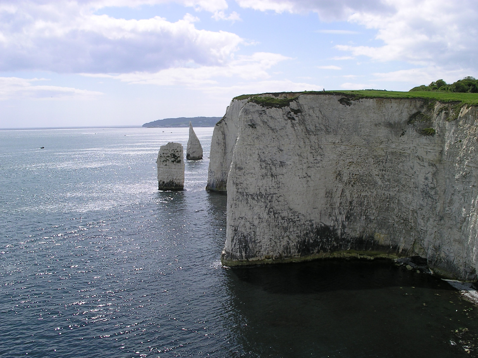 File:Old Harry rocks cliff.jpg - Wikimedia Commons