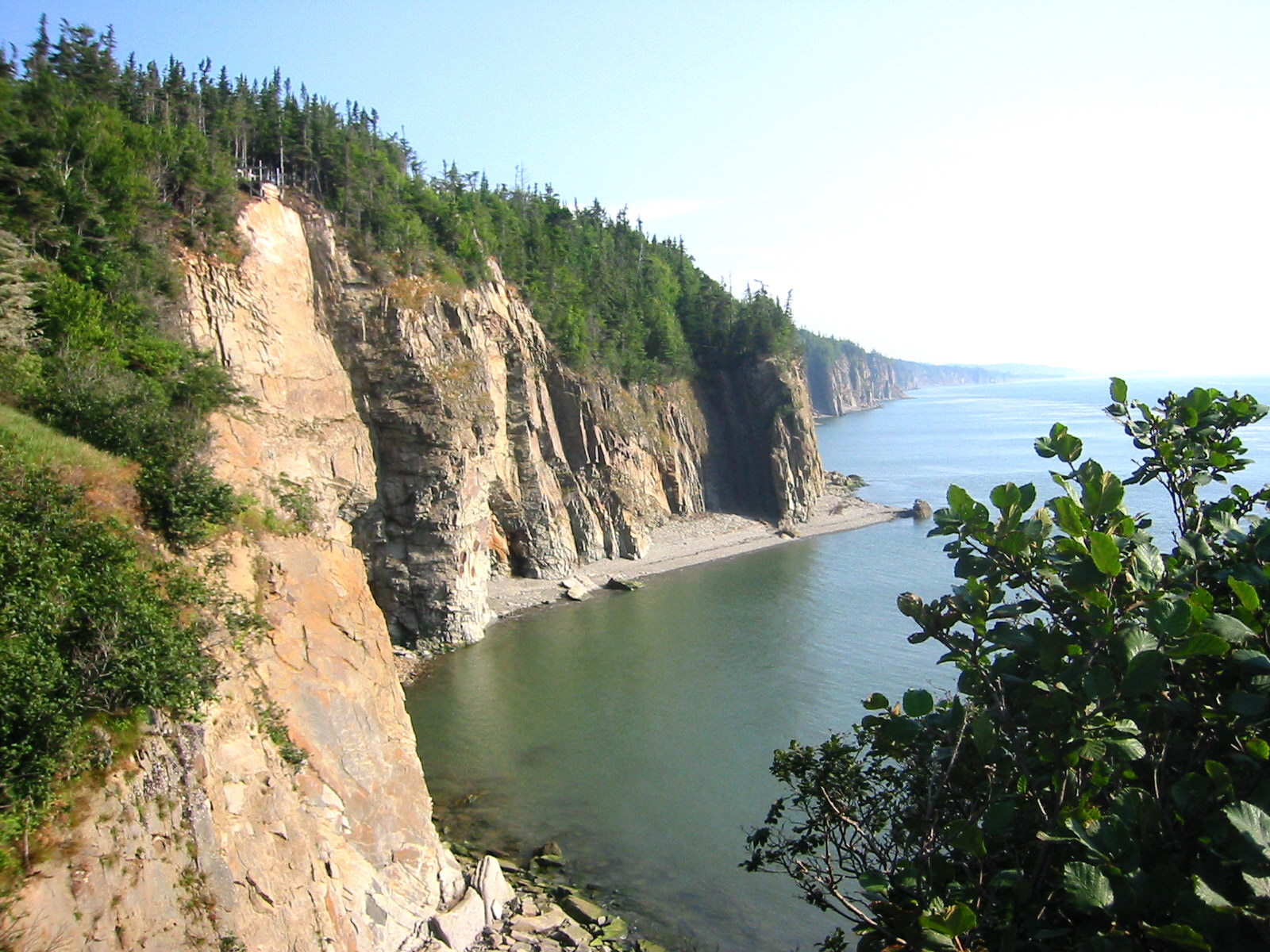 File:Sea Cliffs.JPG - Wikimedia Commons