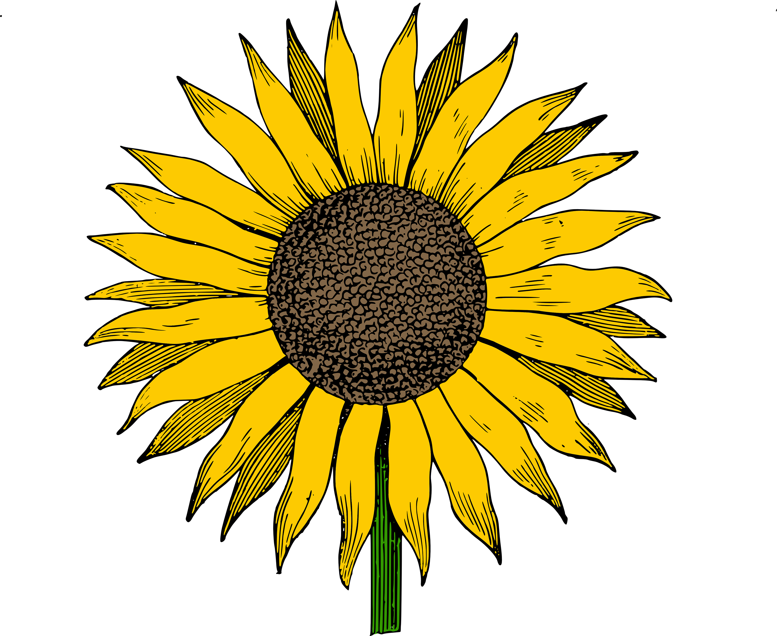 Free Clip Art Sunflower Vector Image | Clip Art Department
