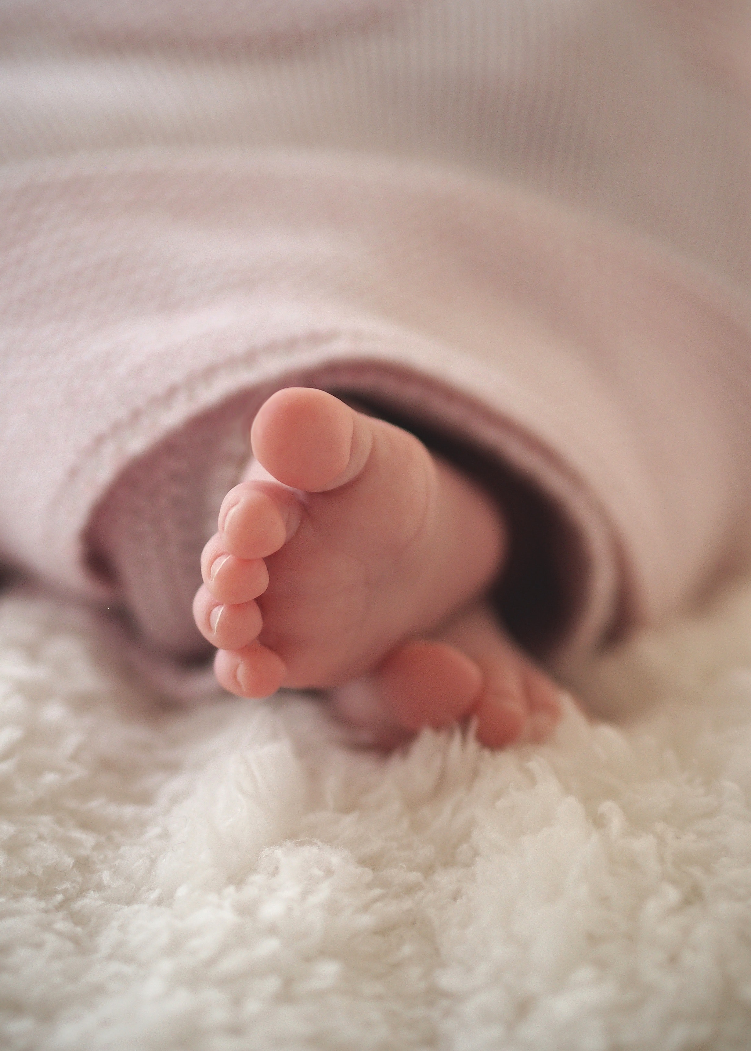 Close-up of baby feet photo