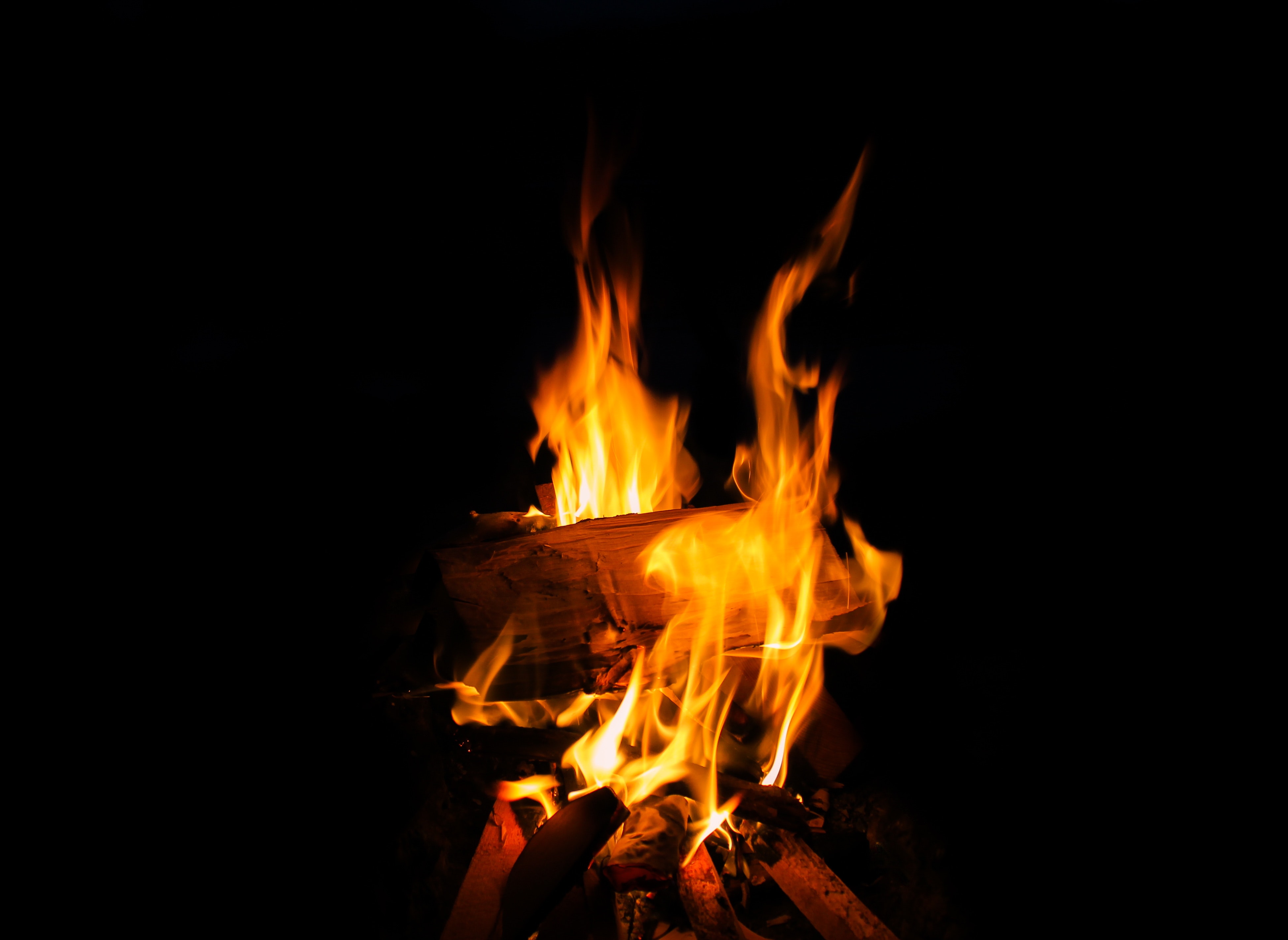 Close-up of Bonfire at Night, Ash, Inferno, Glow, Glowing, HQ Photo