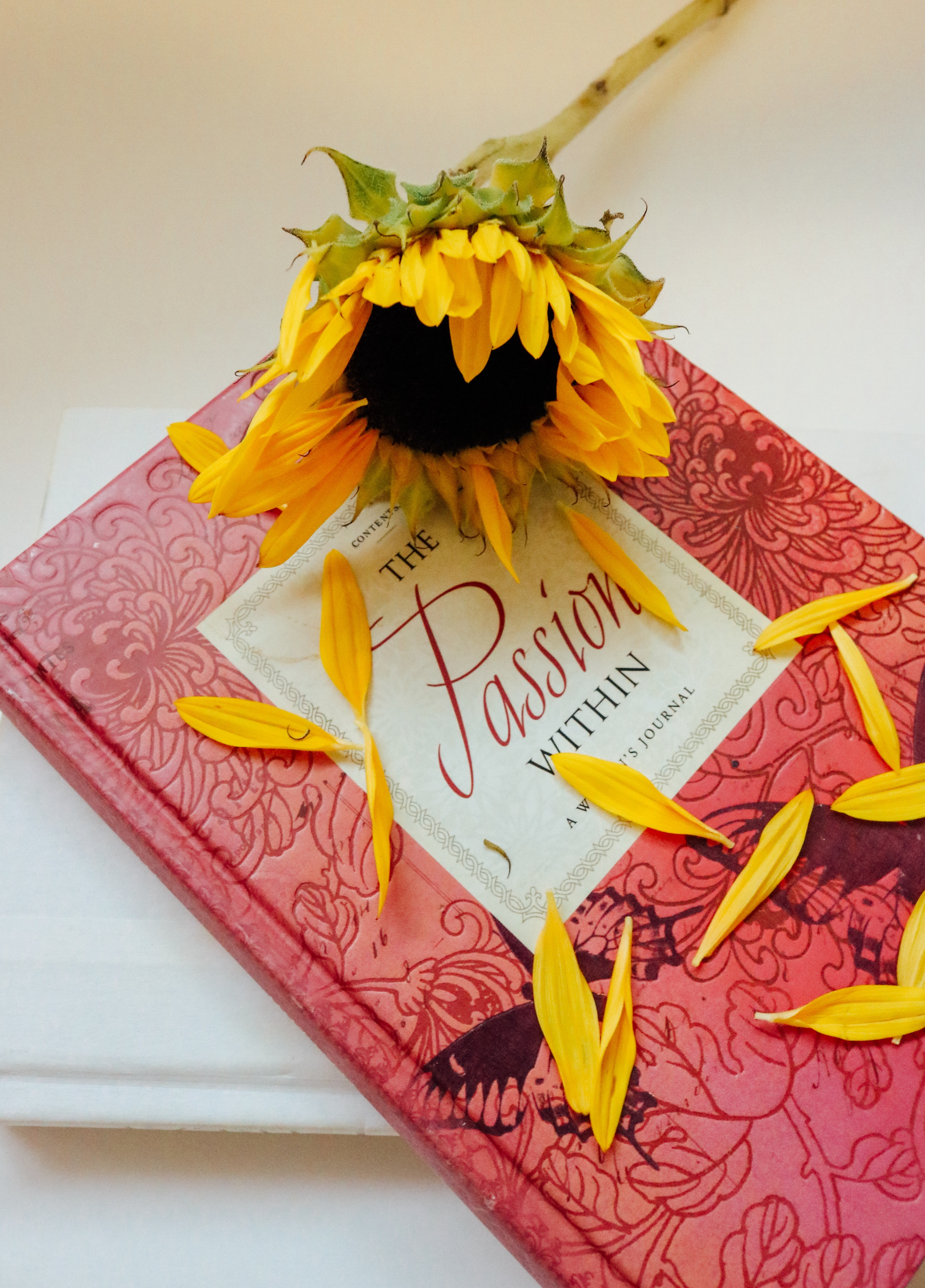 Close-up of Flowers, Book, Learn, Textbook, Summer, HQ Photo