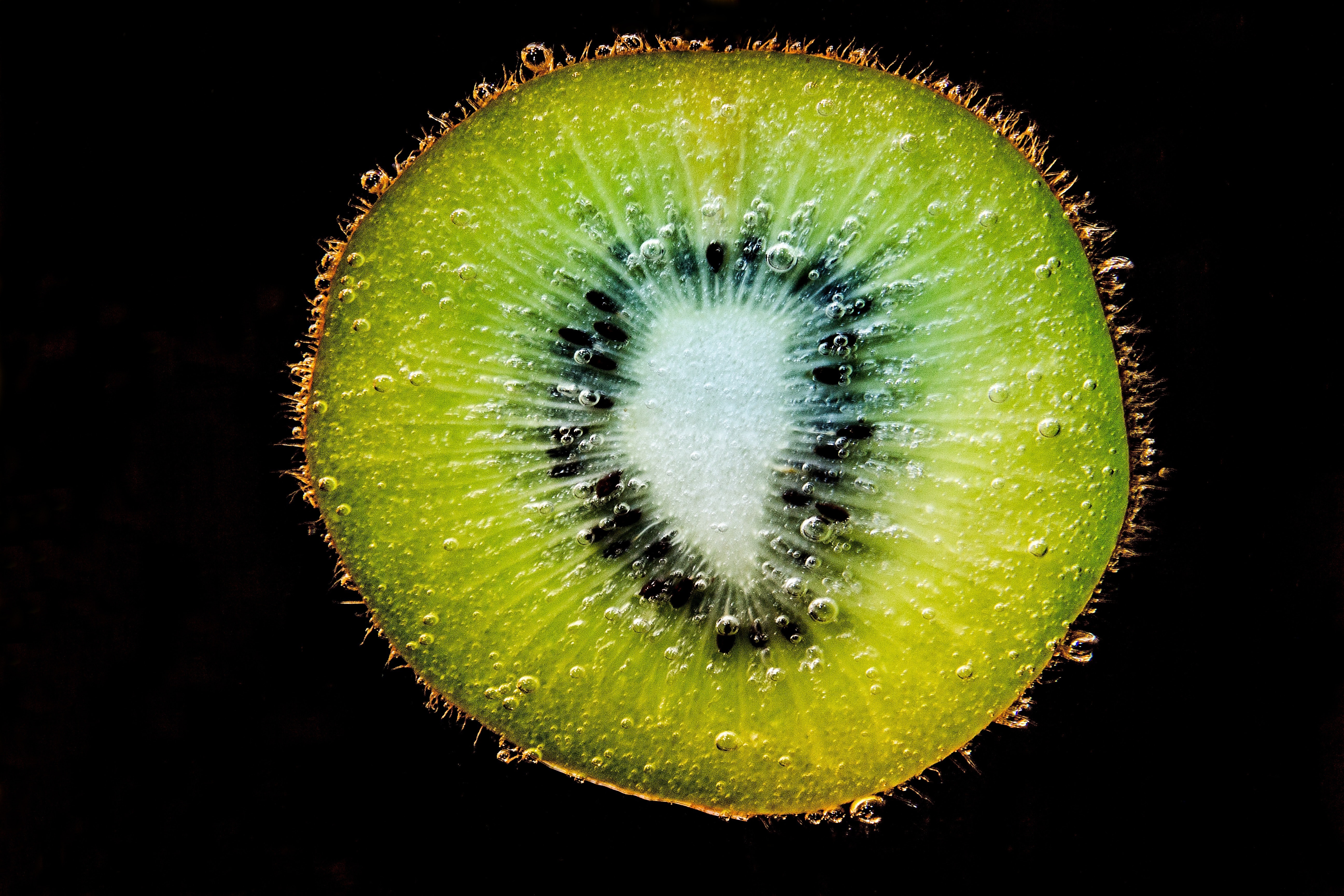 Close-up of fruit against black background photo