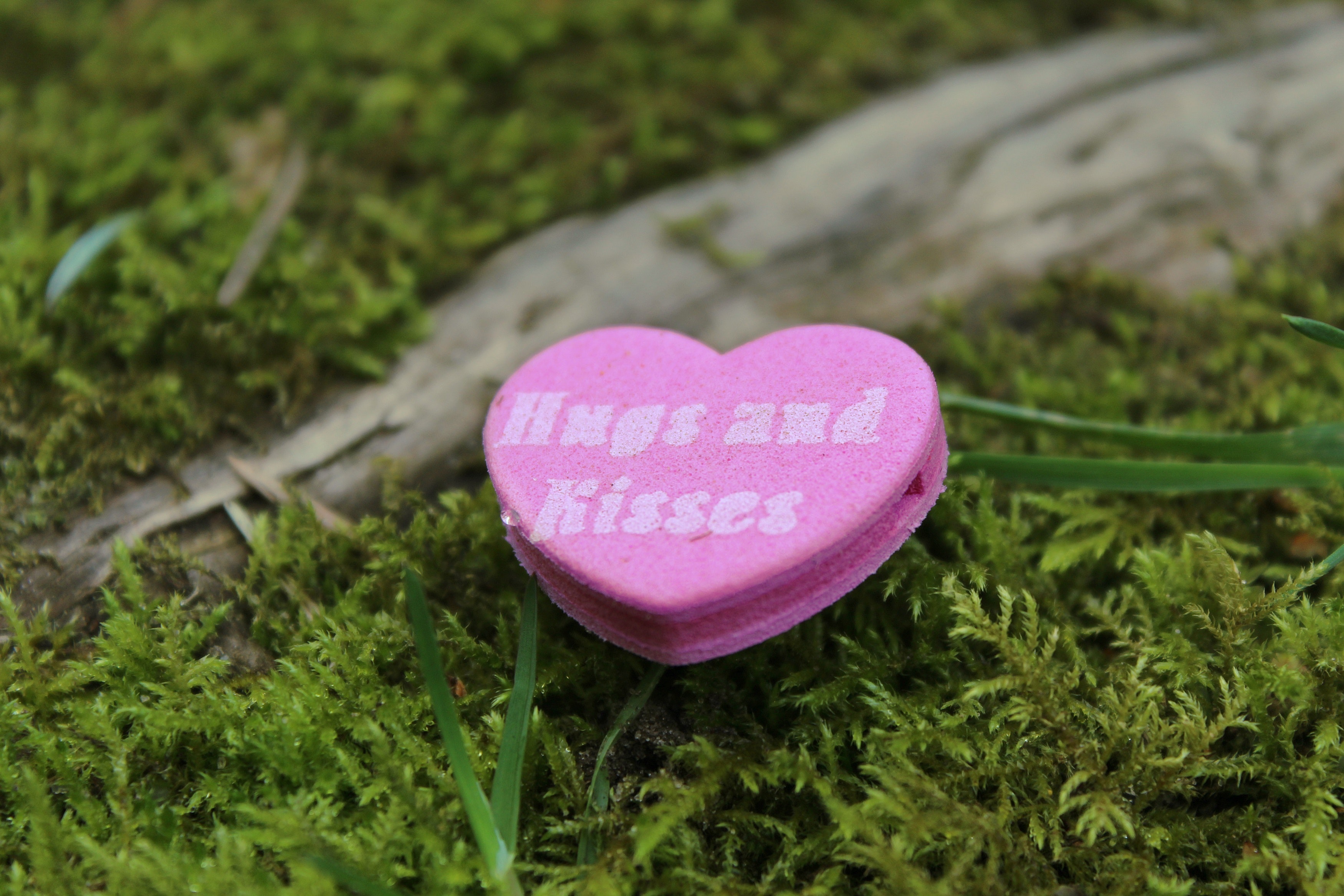 Close-up of Heart Shape Pink, Art, Leaf, Symbol, Summer, HQ Photo