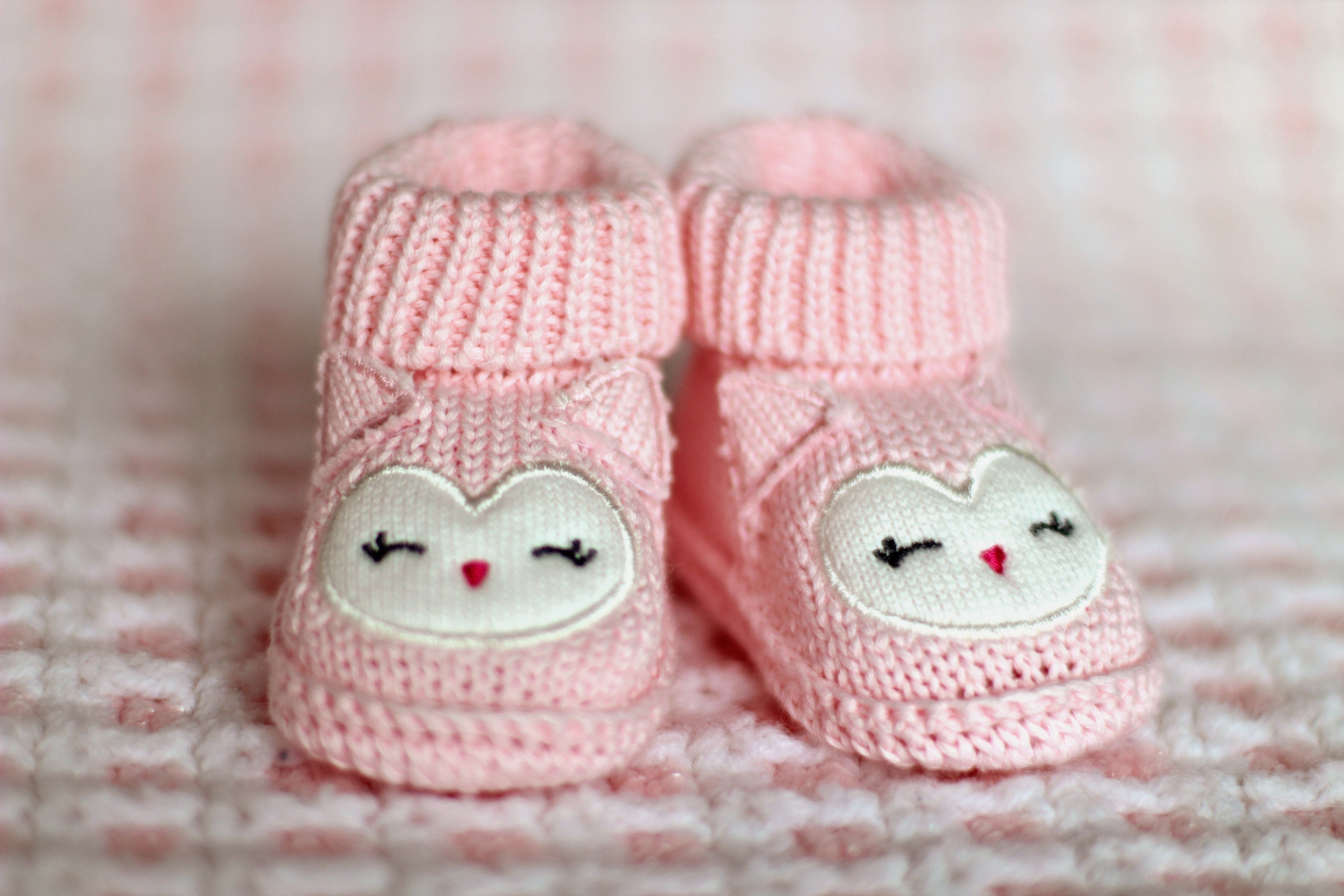Close-up of pink baby booties photo