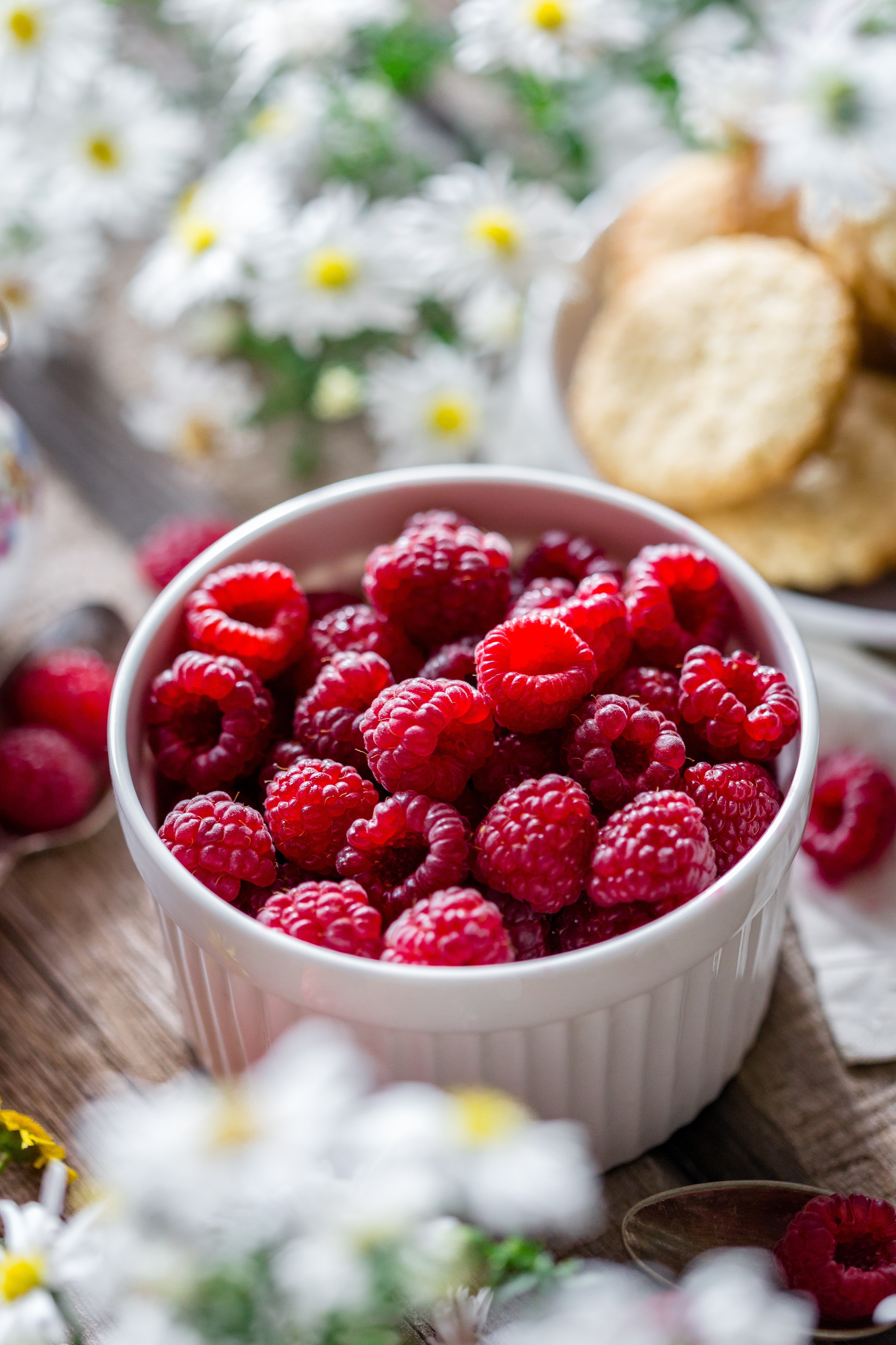 Close-up of Strawberries in Bowl, Berries, Morning, Tasty, Table, HQ Photo