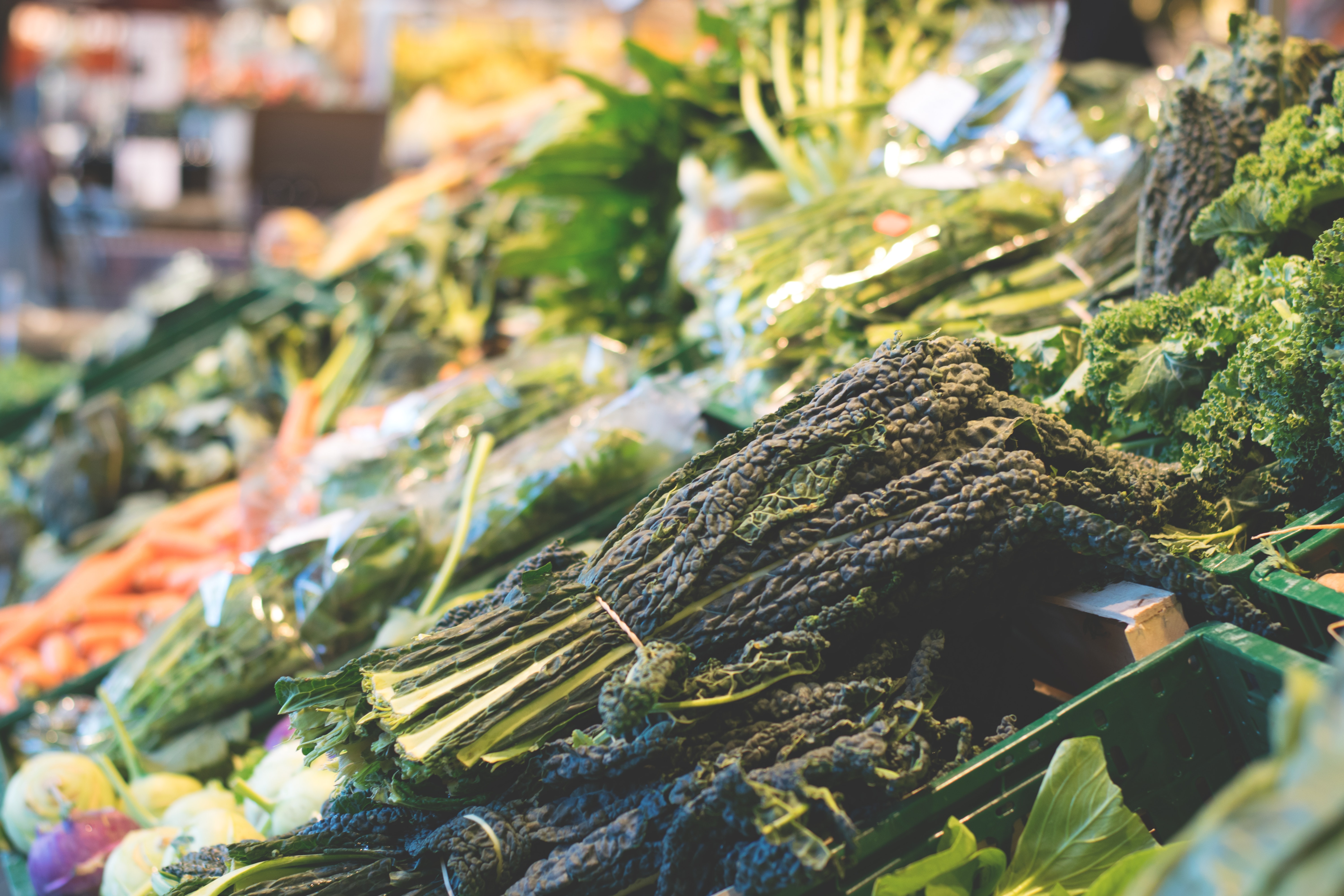 Close-up of Vegetables in Market, Agriculture, Lettuce, Vegetables, Supermarket, HQ Photo