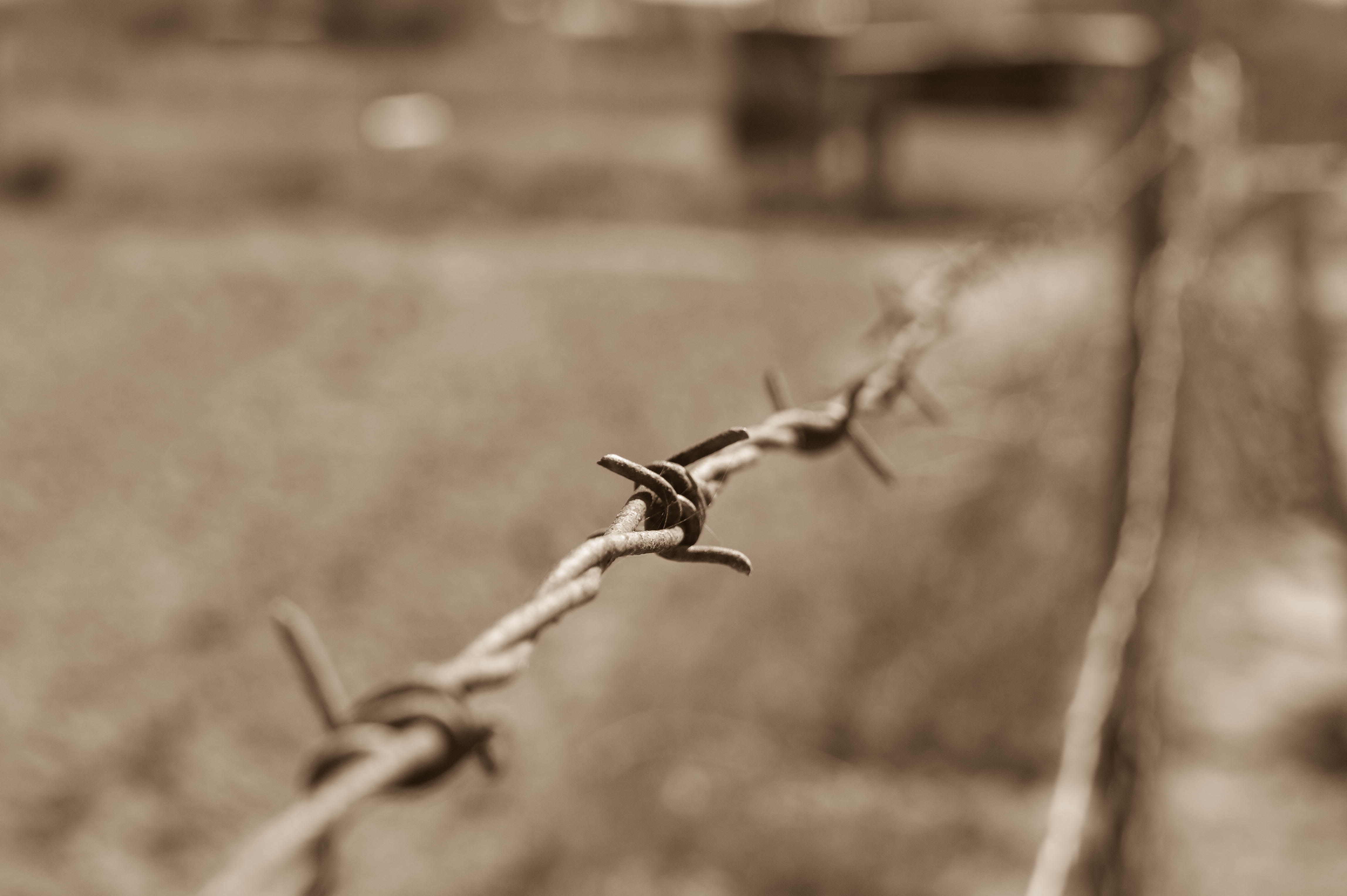 Close-up of wire against blurred background photo