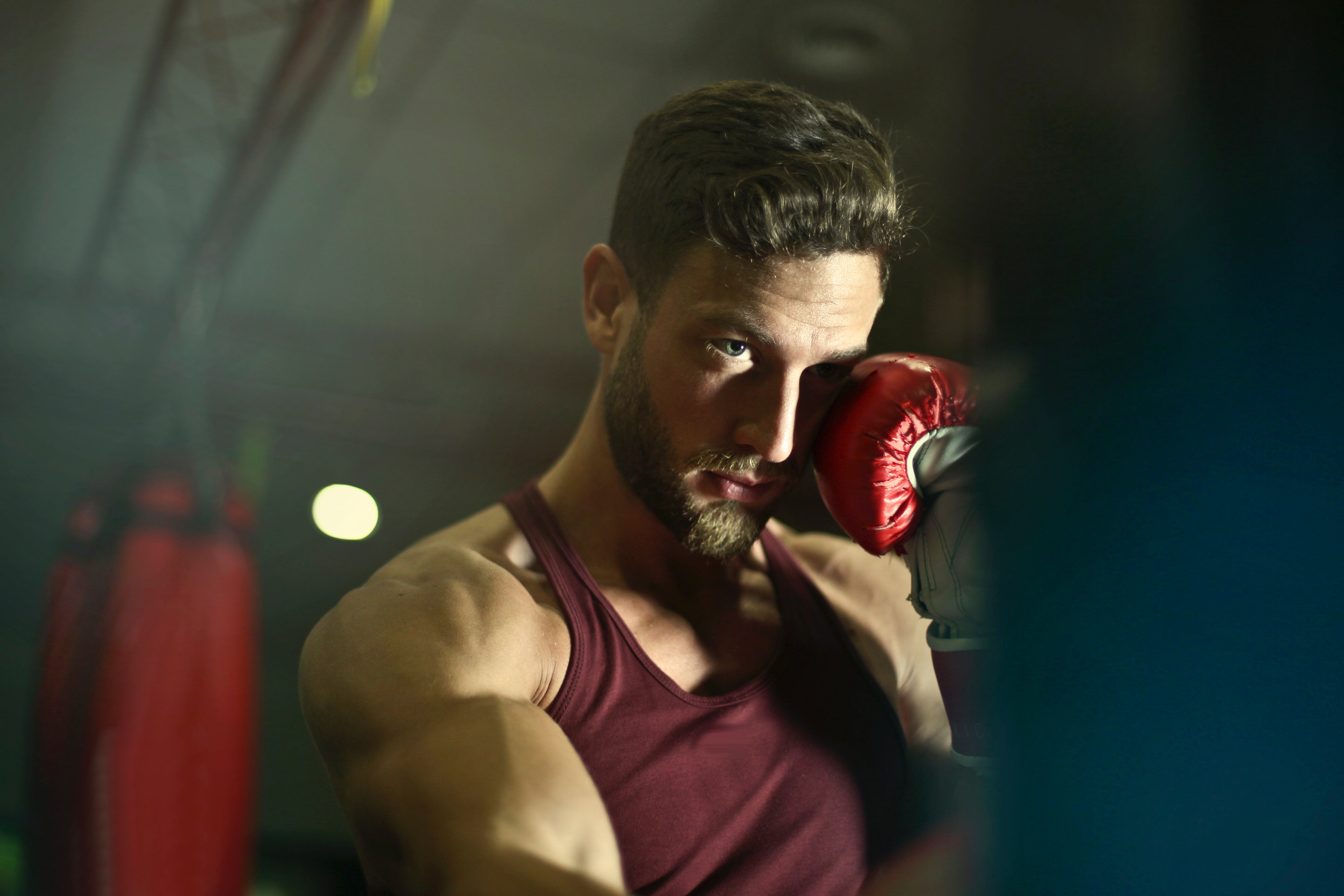 Close-up Photography of Man Wearing Boxing Gloves, Adult, Gloves, Training, Sport, HQ Photo