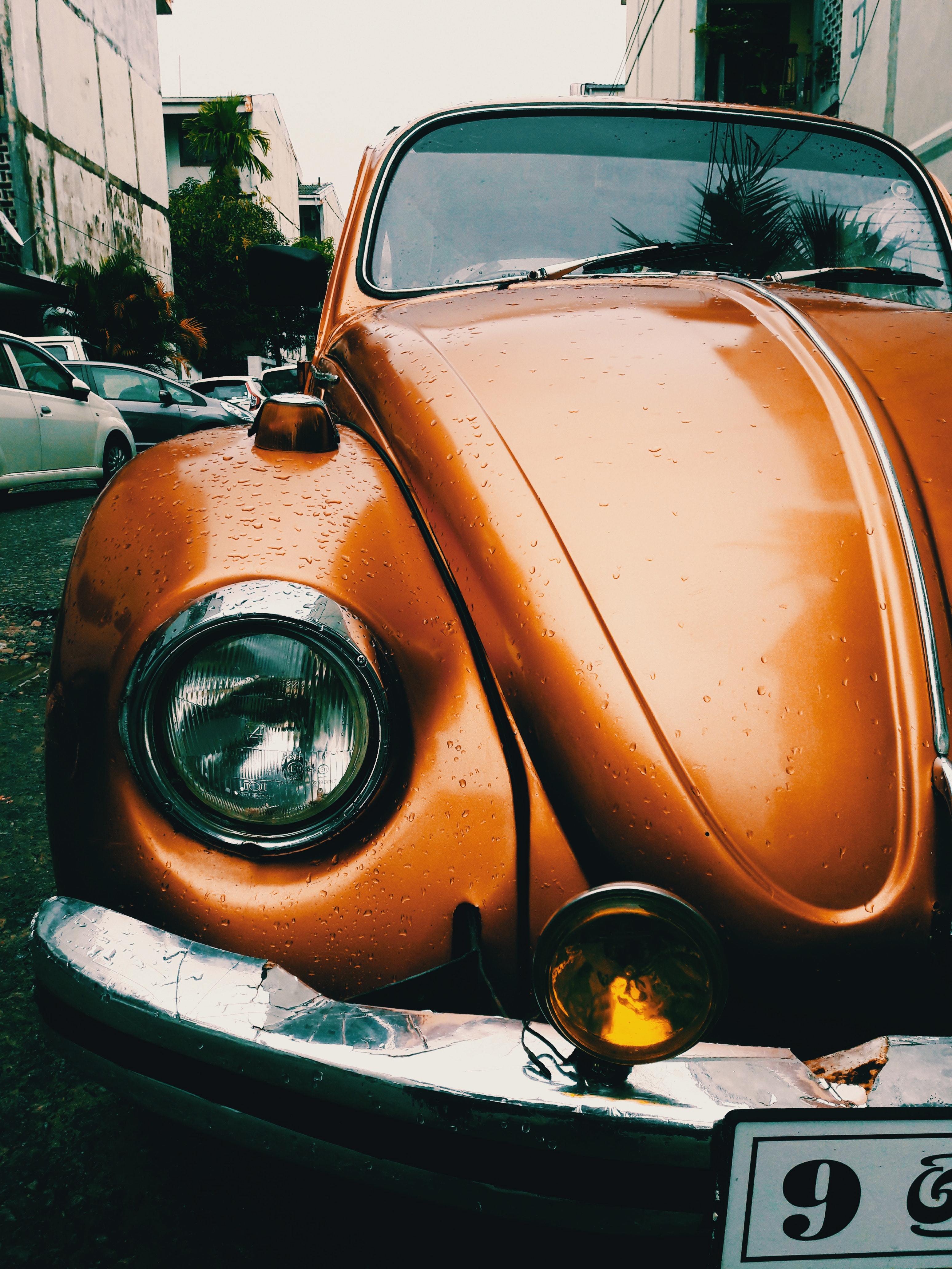 Close-up photography of volkswagen beetle