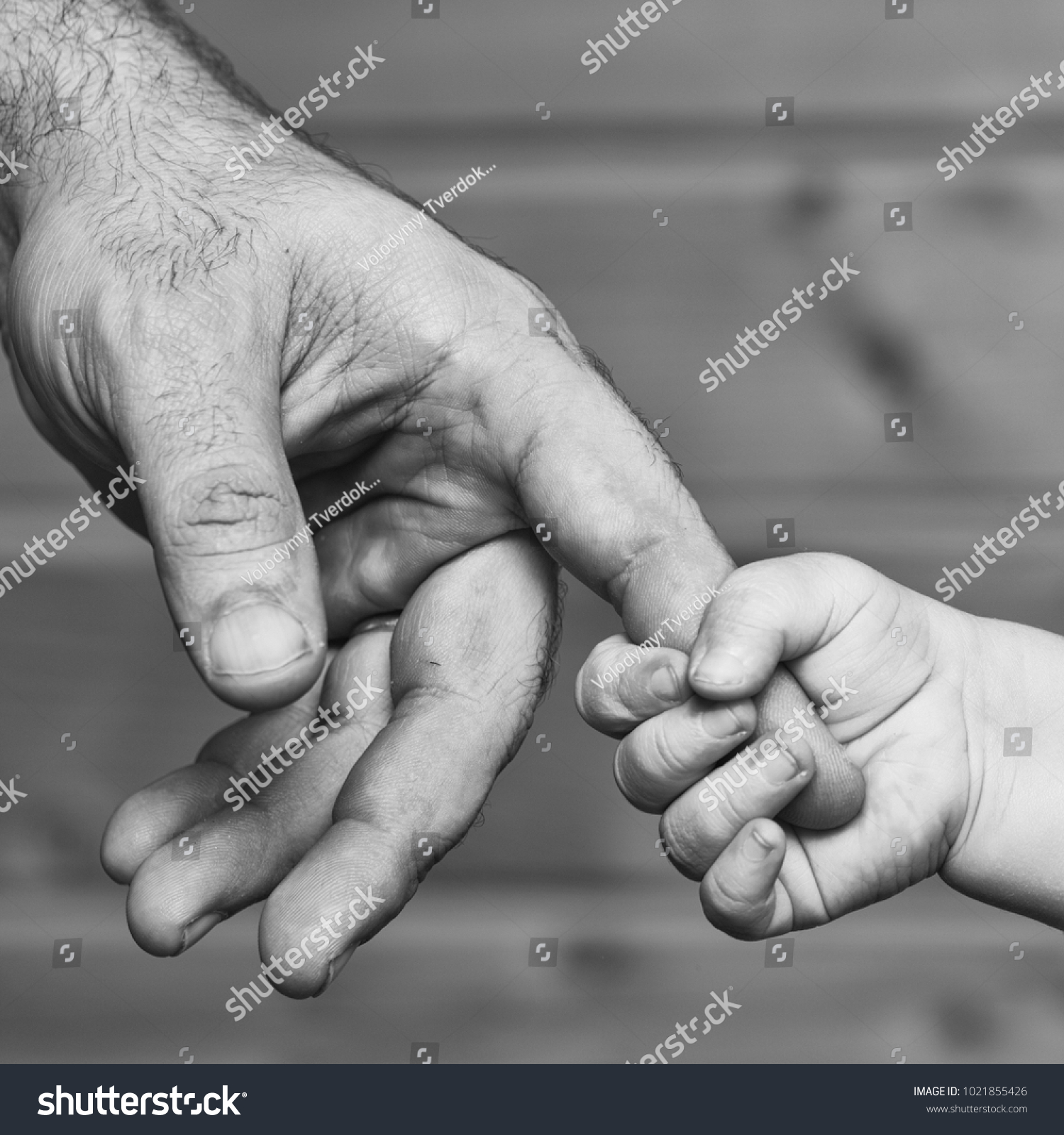 Closeup Two Touching Hands Small Baby Stock Photo & Image (Royalty ...