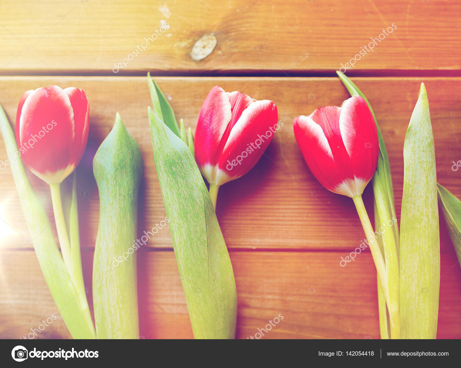 close up of red tulip flowers on wooden table — Stock Photo ...
