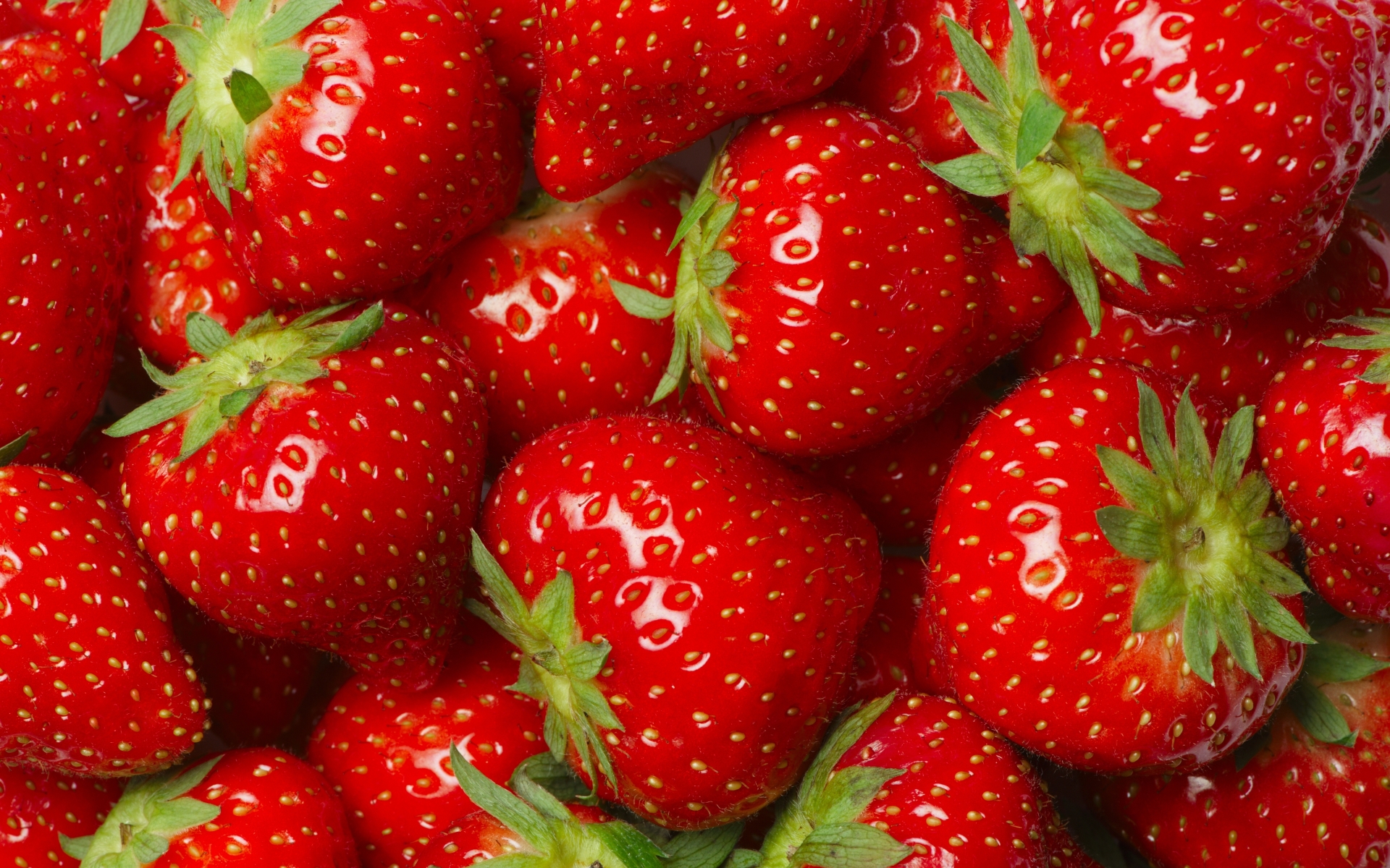 Only red strawberries – close up photo - HD wallpaper download ...