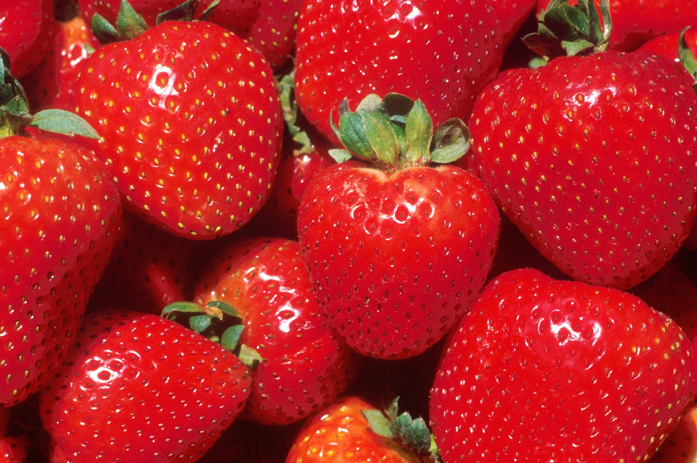 File:Strawberries close up.jpg - Wikimedia Commons