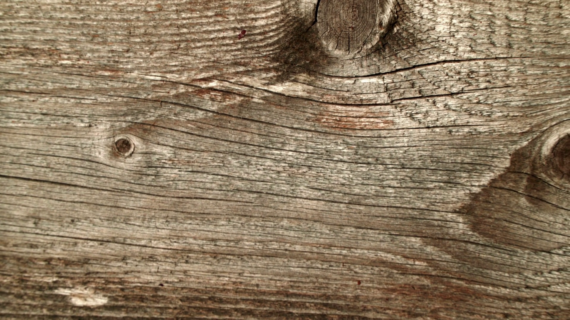 Natural old wood weathered board texture crack lines curves swirls ...