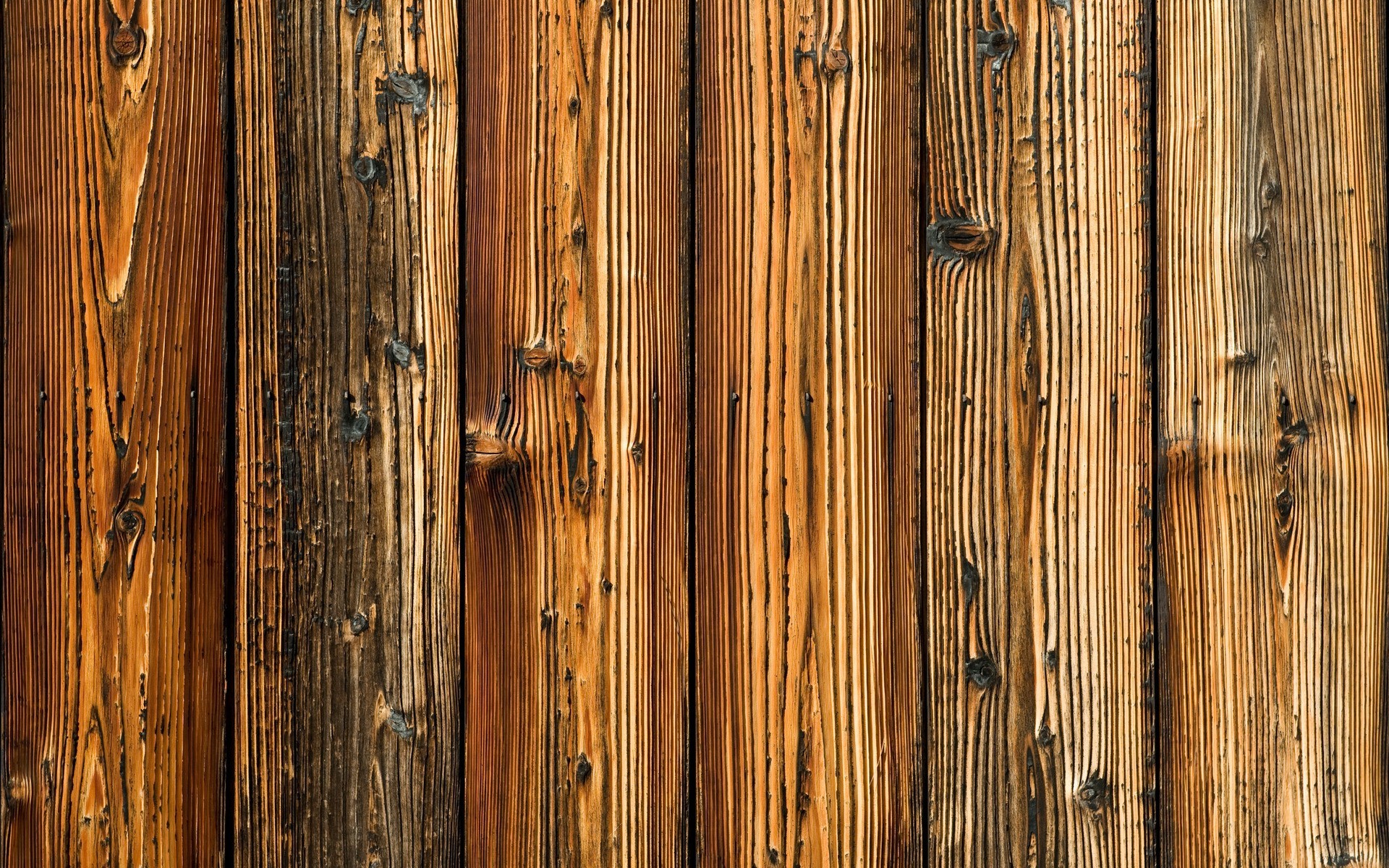 Close-up of wood photo