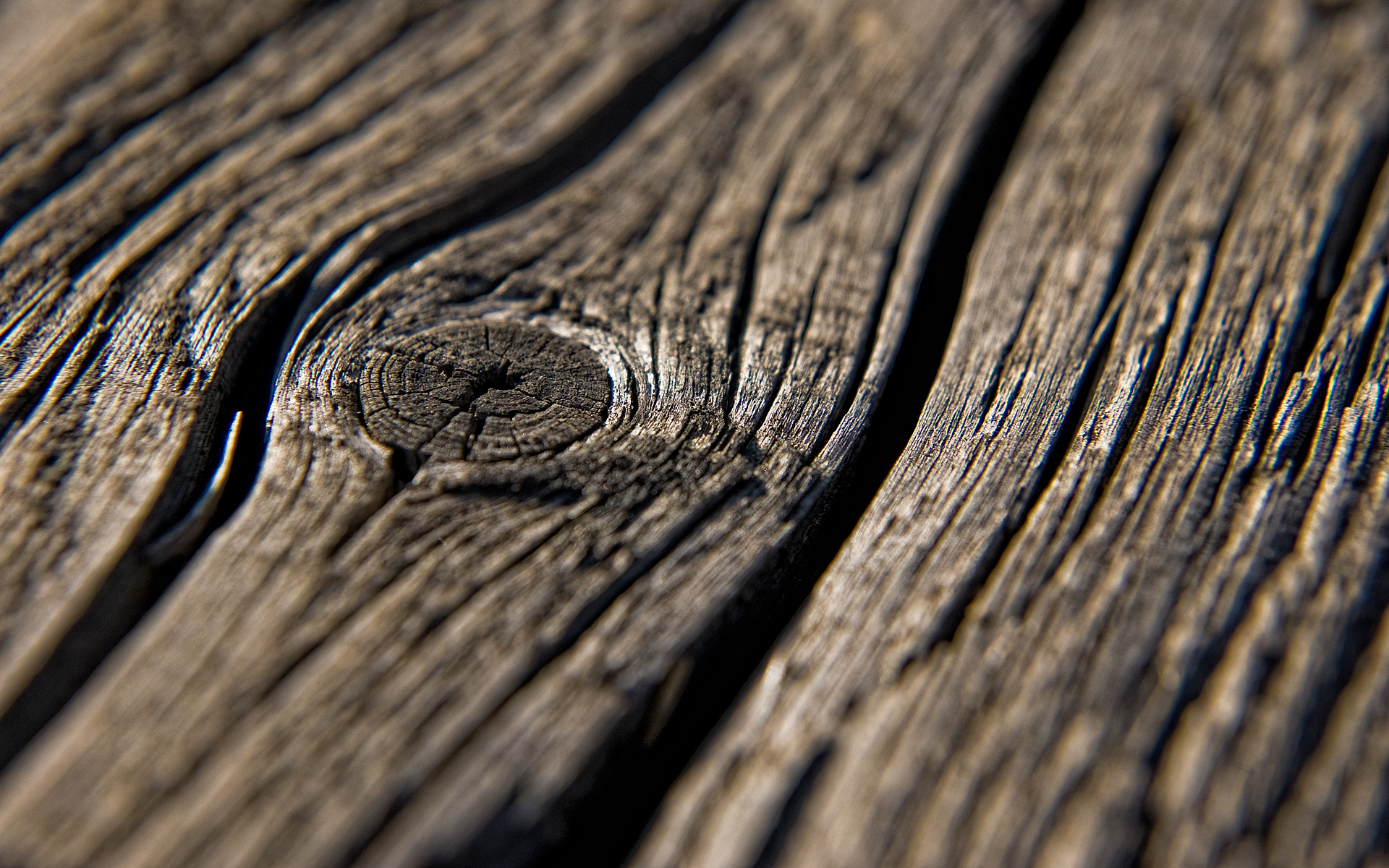 close-up, wood :: Wallpapers