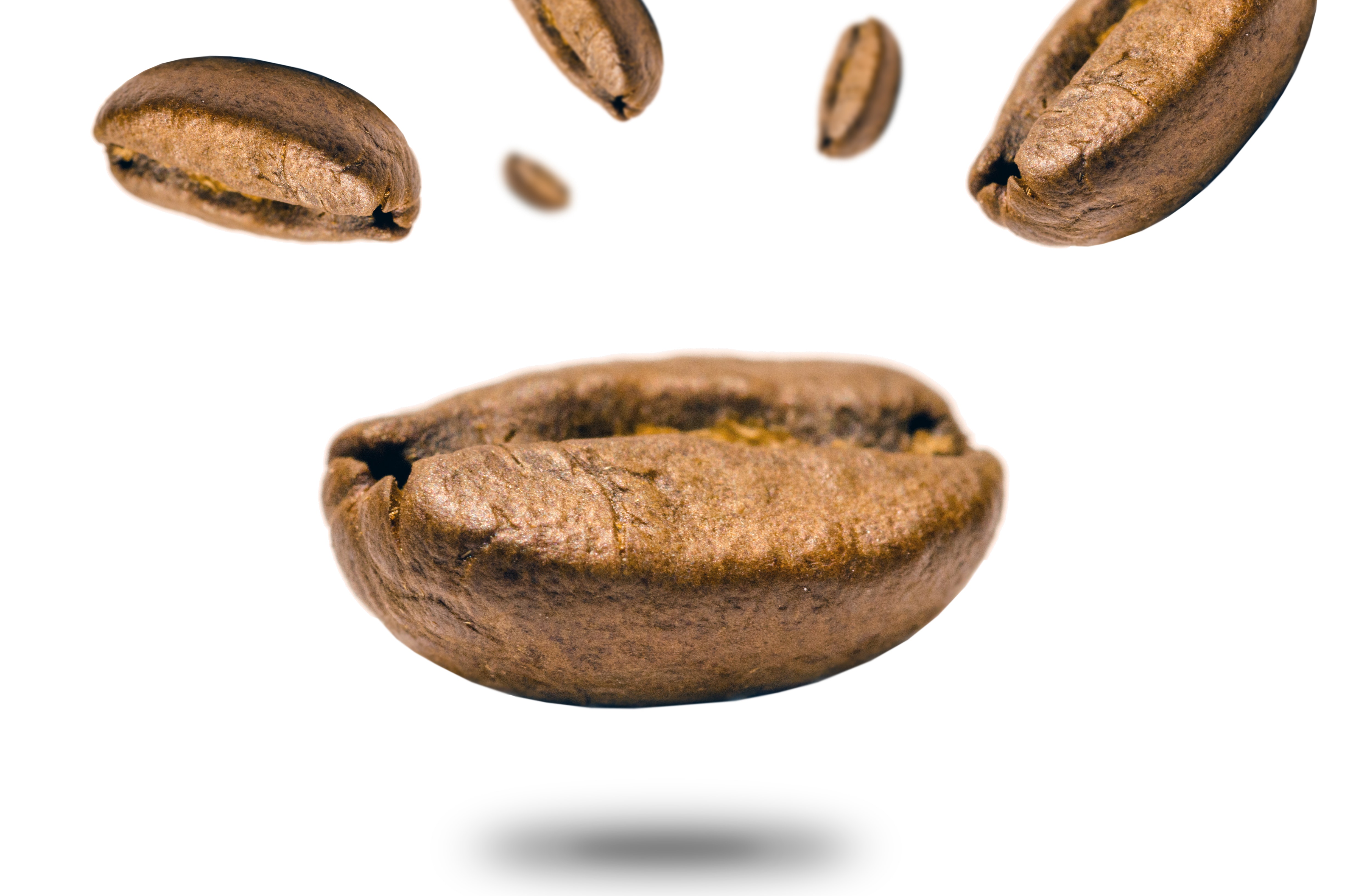 Closeup Photo of Coffee Bean, Aroma, Grains, Texture, Shadow, HQ Photo