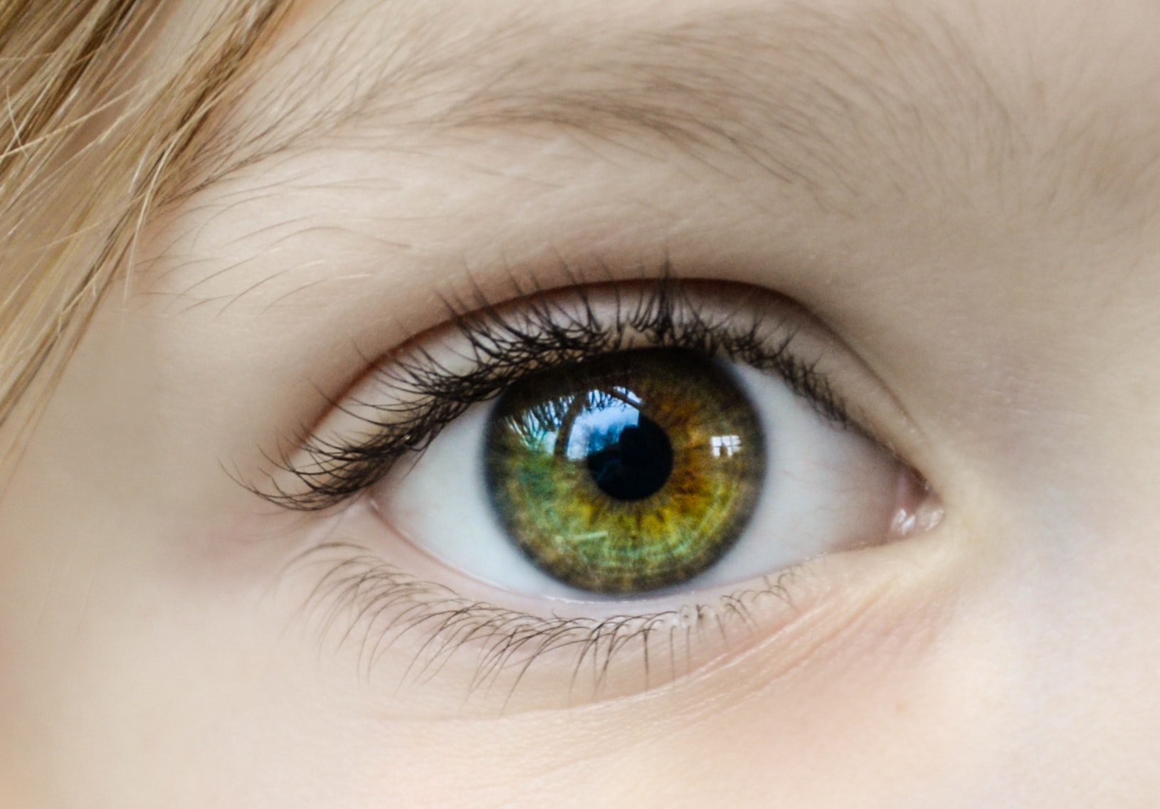 Closeup photo of human eye