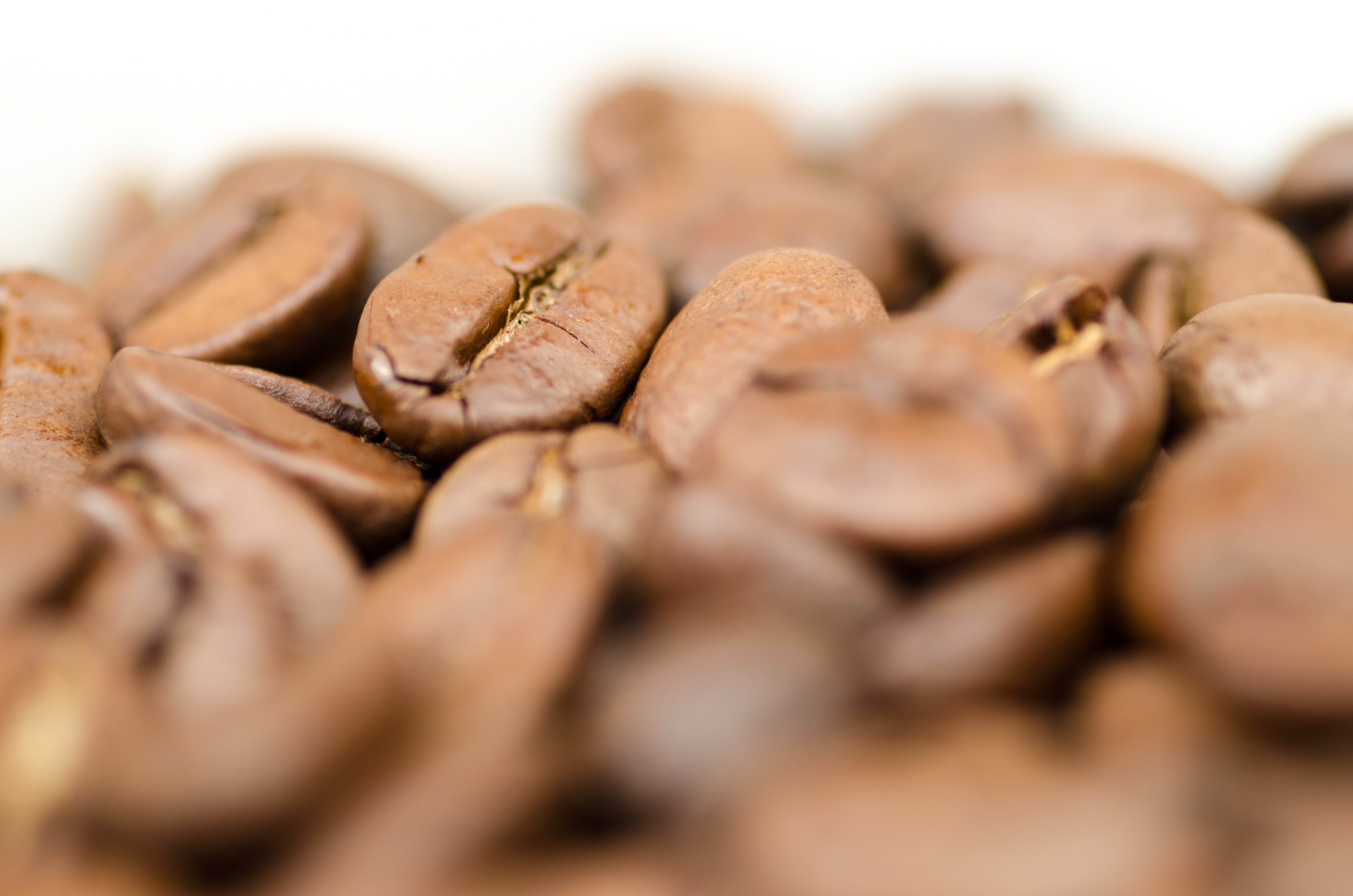 Closeup Photography of Coffee Beans, Arabic, Flavor, Taste, Smooth, HQ Photo
