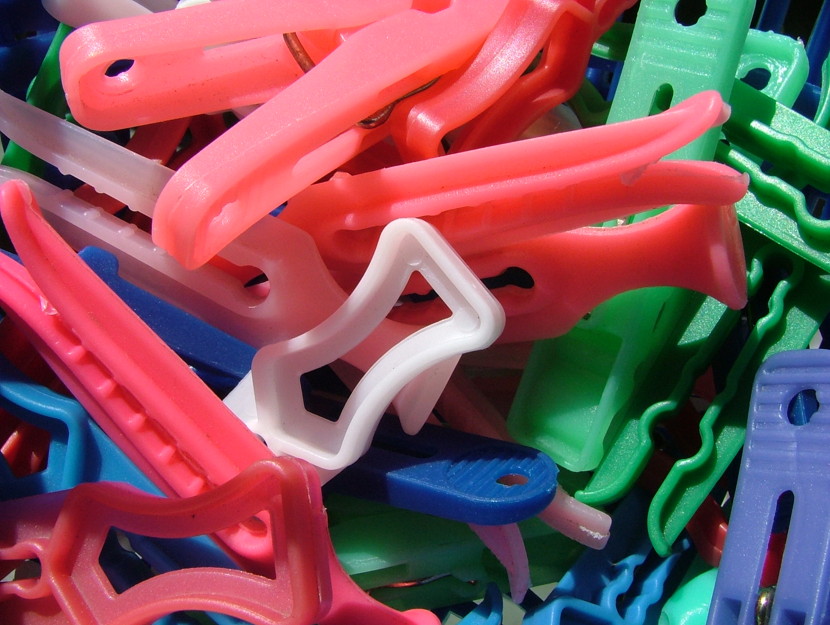 Clothes pegs photo