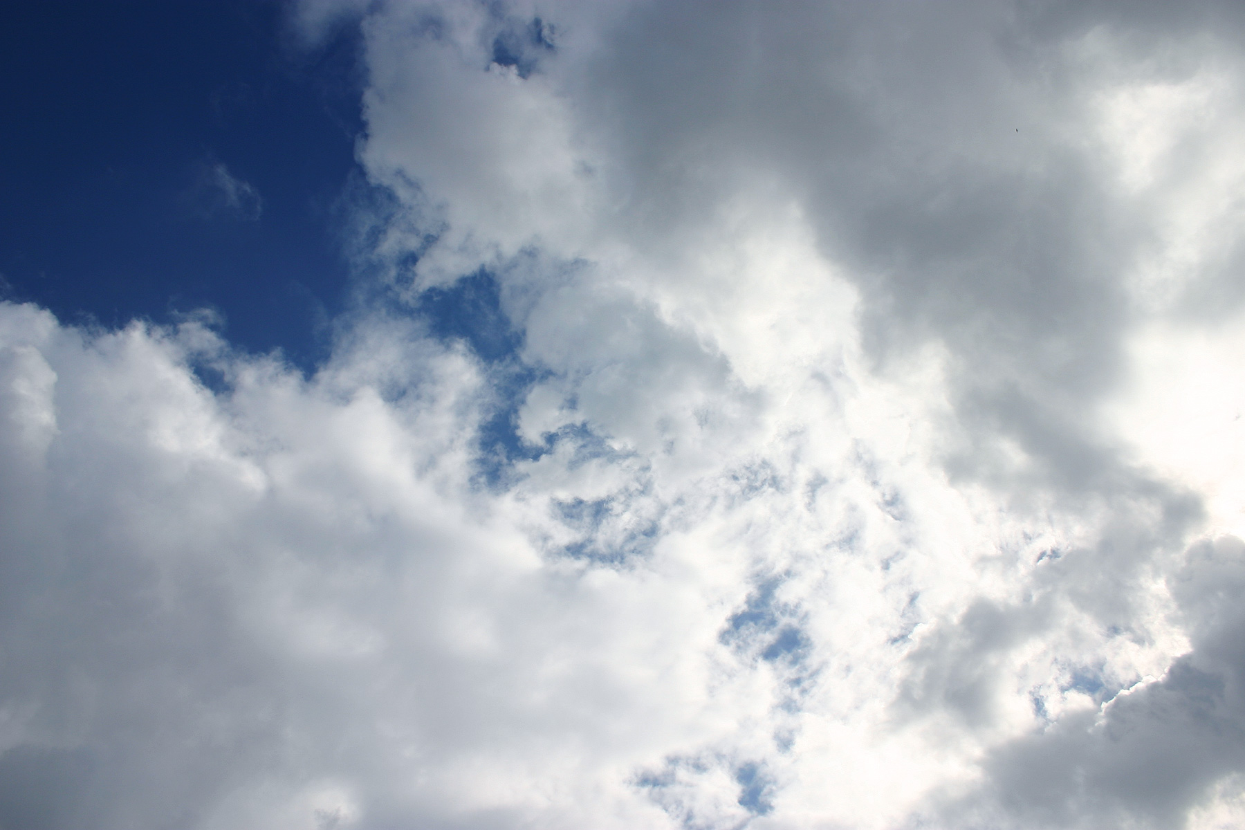 Free photo: Clouds - Blue, Dark, Heaven - Free Download - Jooinn