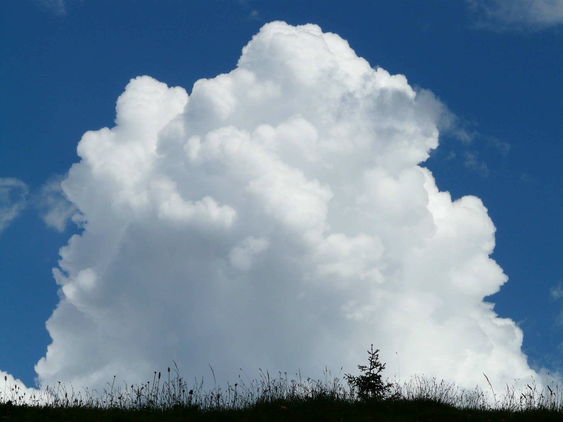The types of clouds: everything you need to know