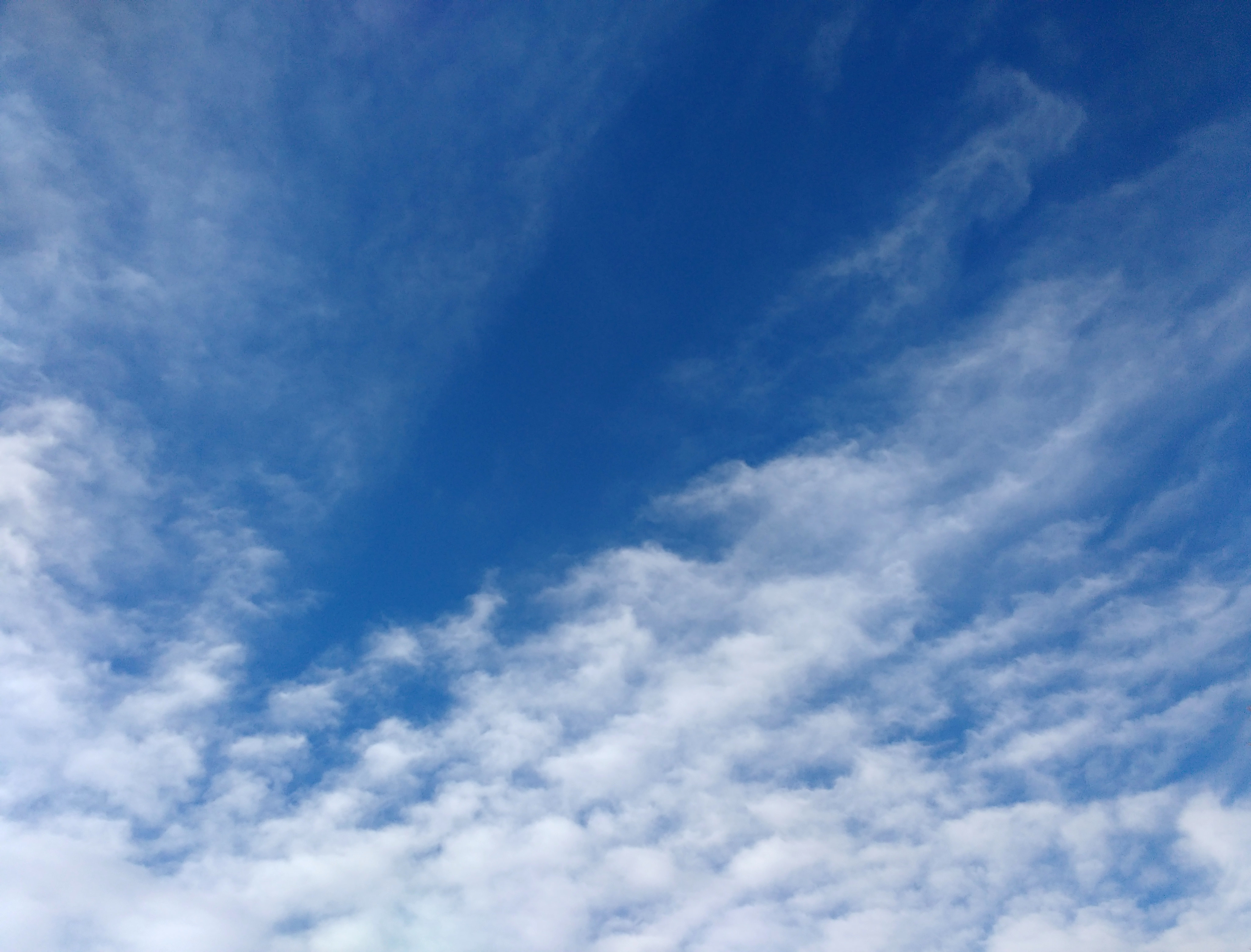 Cirrus Clouds Picture | Free Photograph | Photos Public Domain