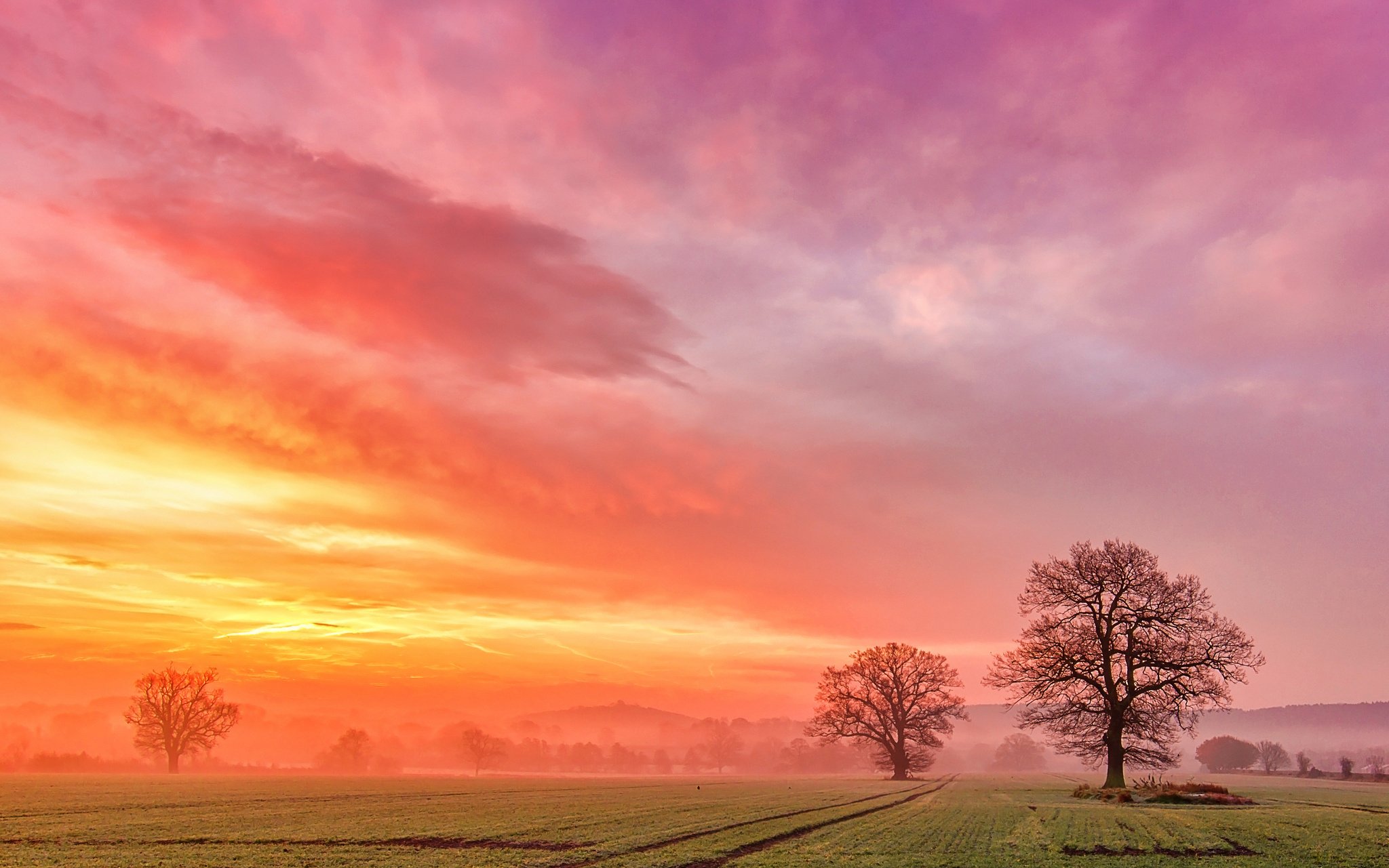 Field trees dawn fog clouds sunrise wallpaper | 2048x1281 | 415767 ...