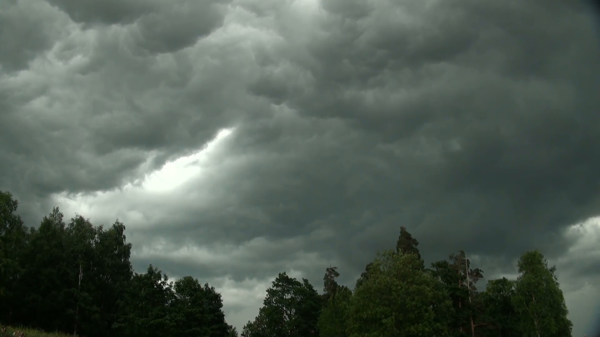 Storm clouds over the forest Stock Video Footage - Videoblocks
