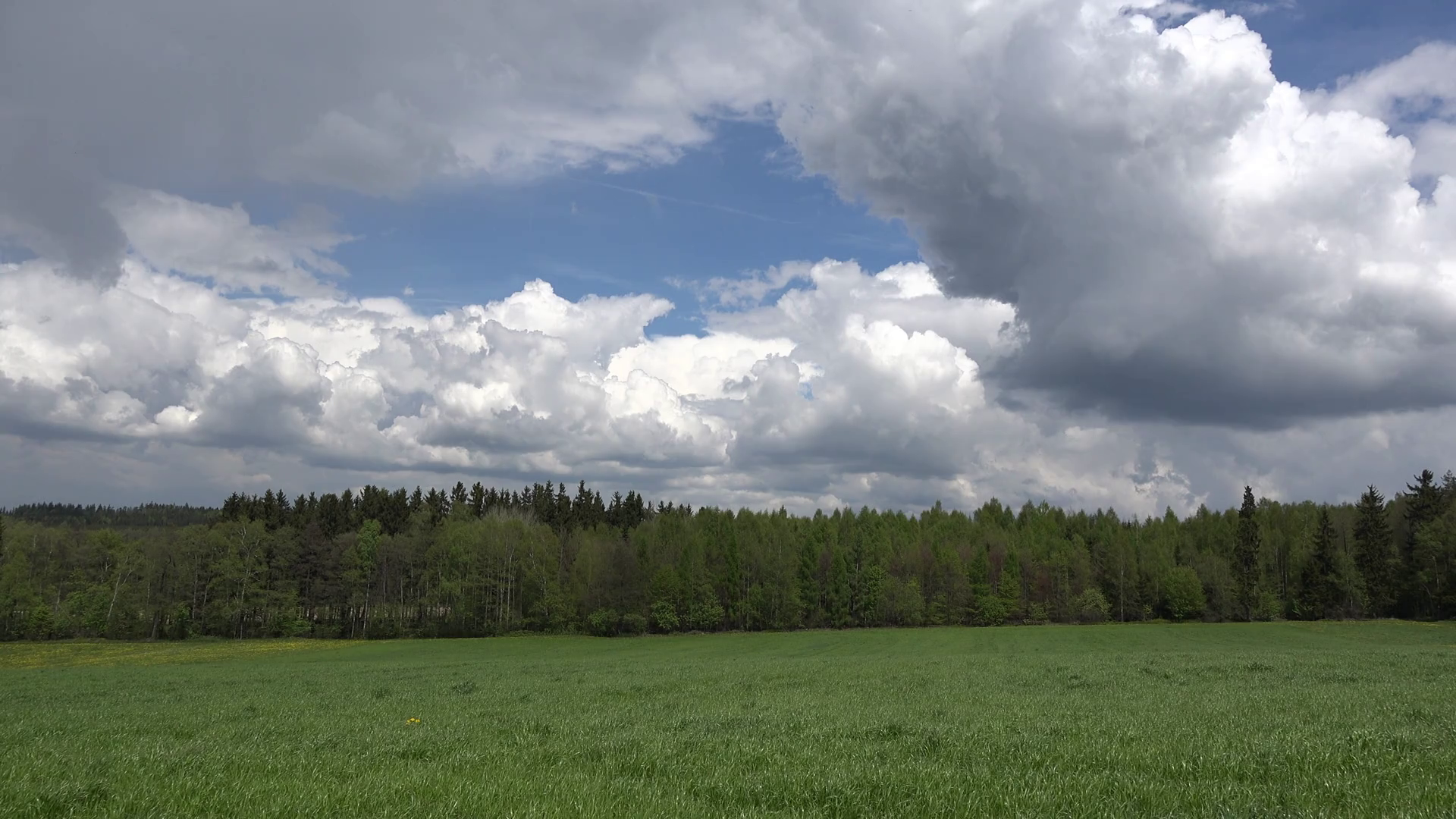 Germany Clouds Over Forest Zooms In Stock Video Footage - VideoBlocks