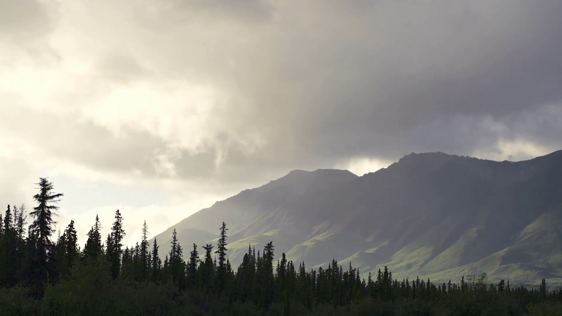 Intense Brooding Rain Clouds over Alaskan Forest and Mountains Stock ...