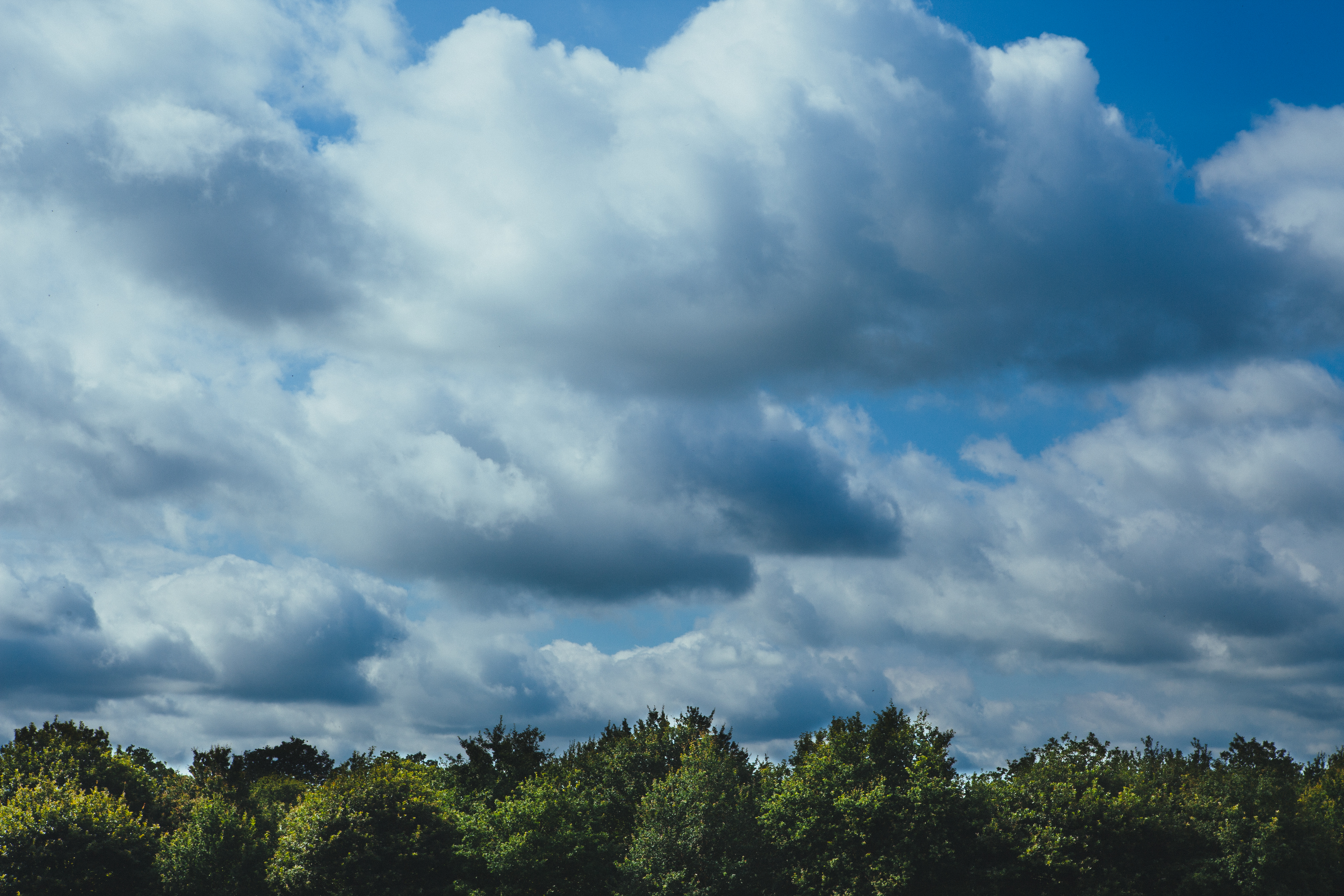 Free Images : nature, forest, horizon, cloud, sky, field, sunlight ...