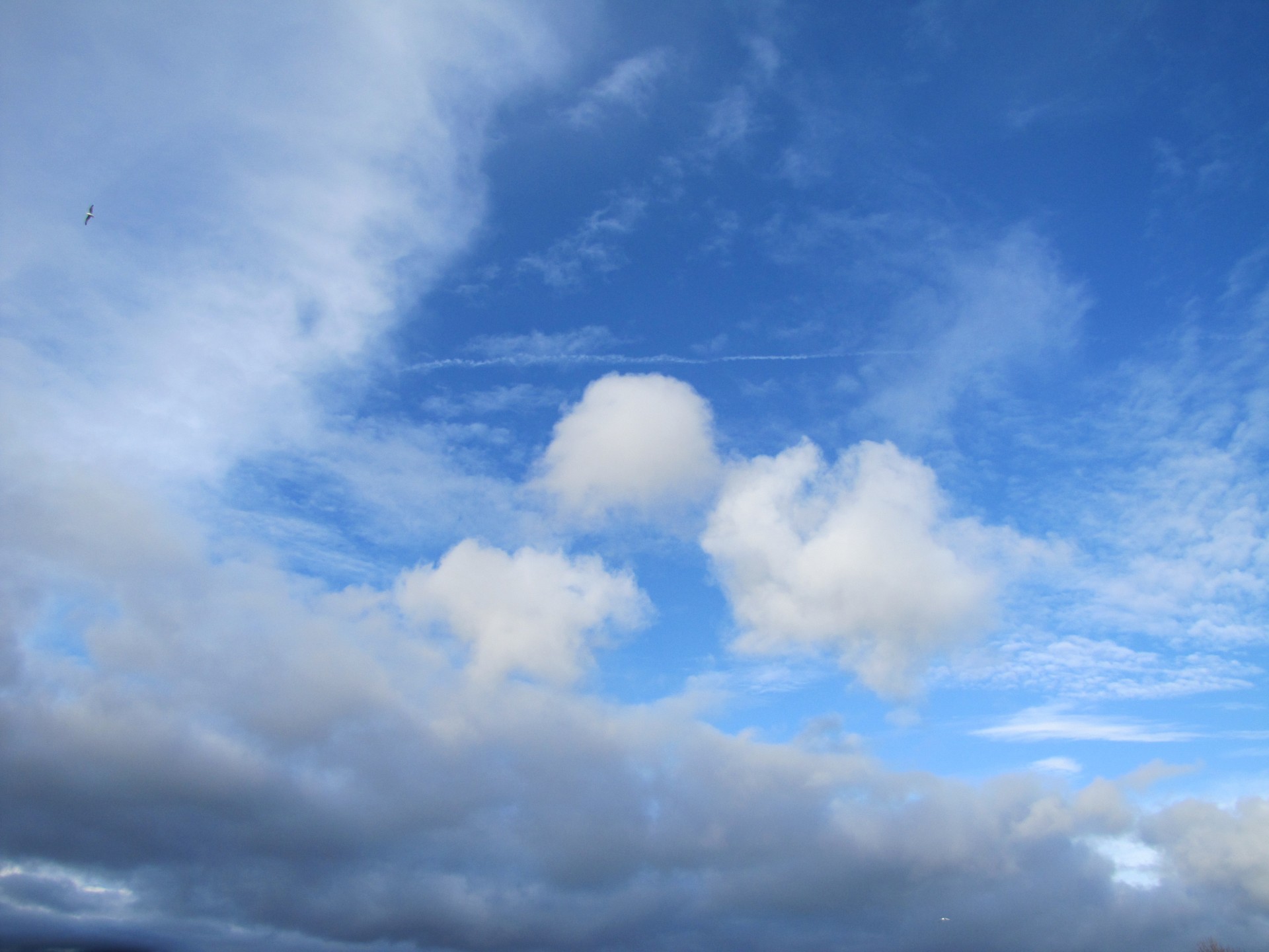 Cloudy Blue Sky Free Stock Photo - Public Domain Pictures