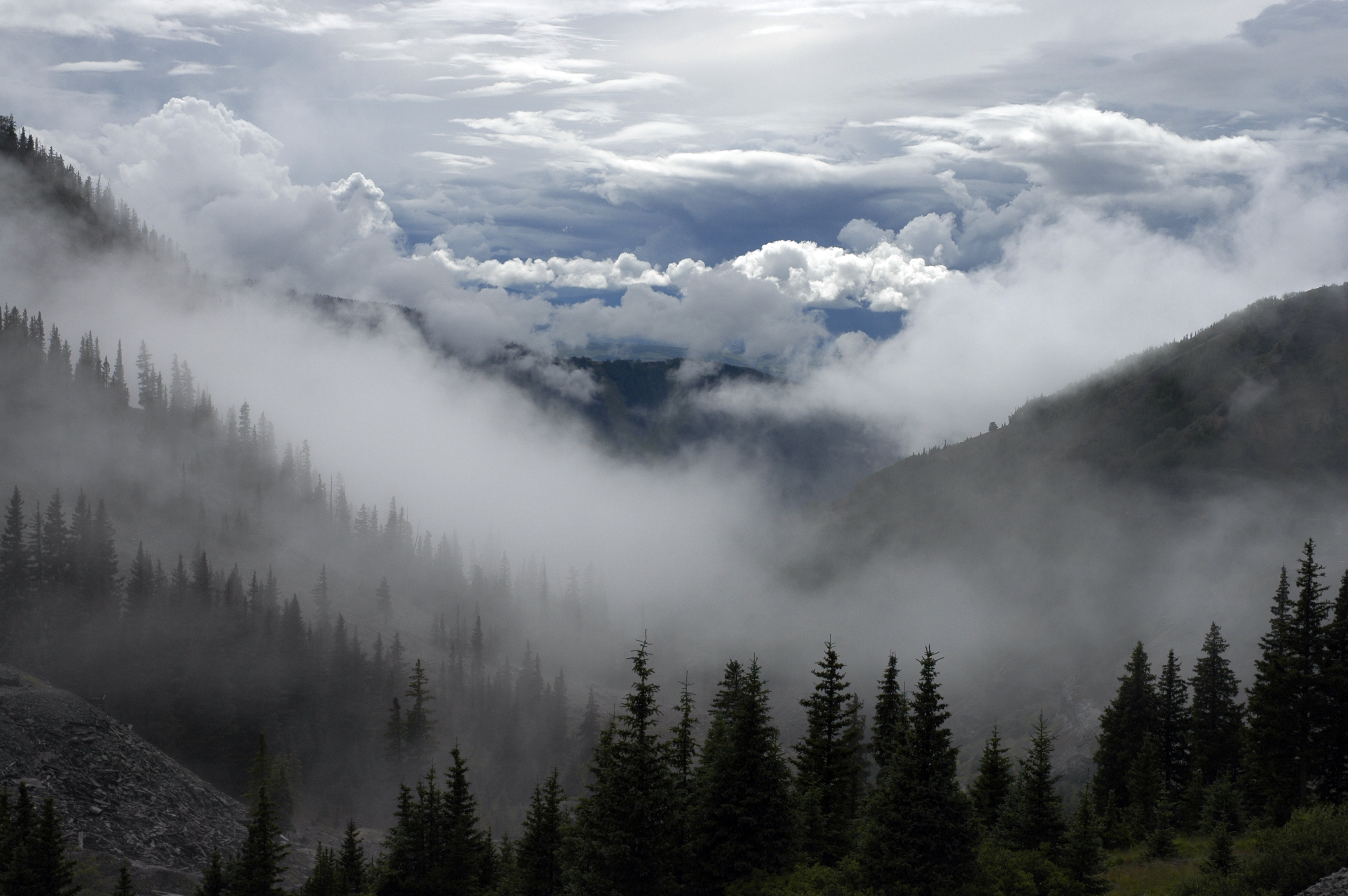 clouds-cloudy-forest-trees | Institute of Interpersonal Hypnotherapy ...