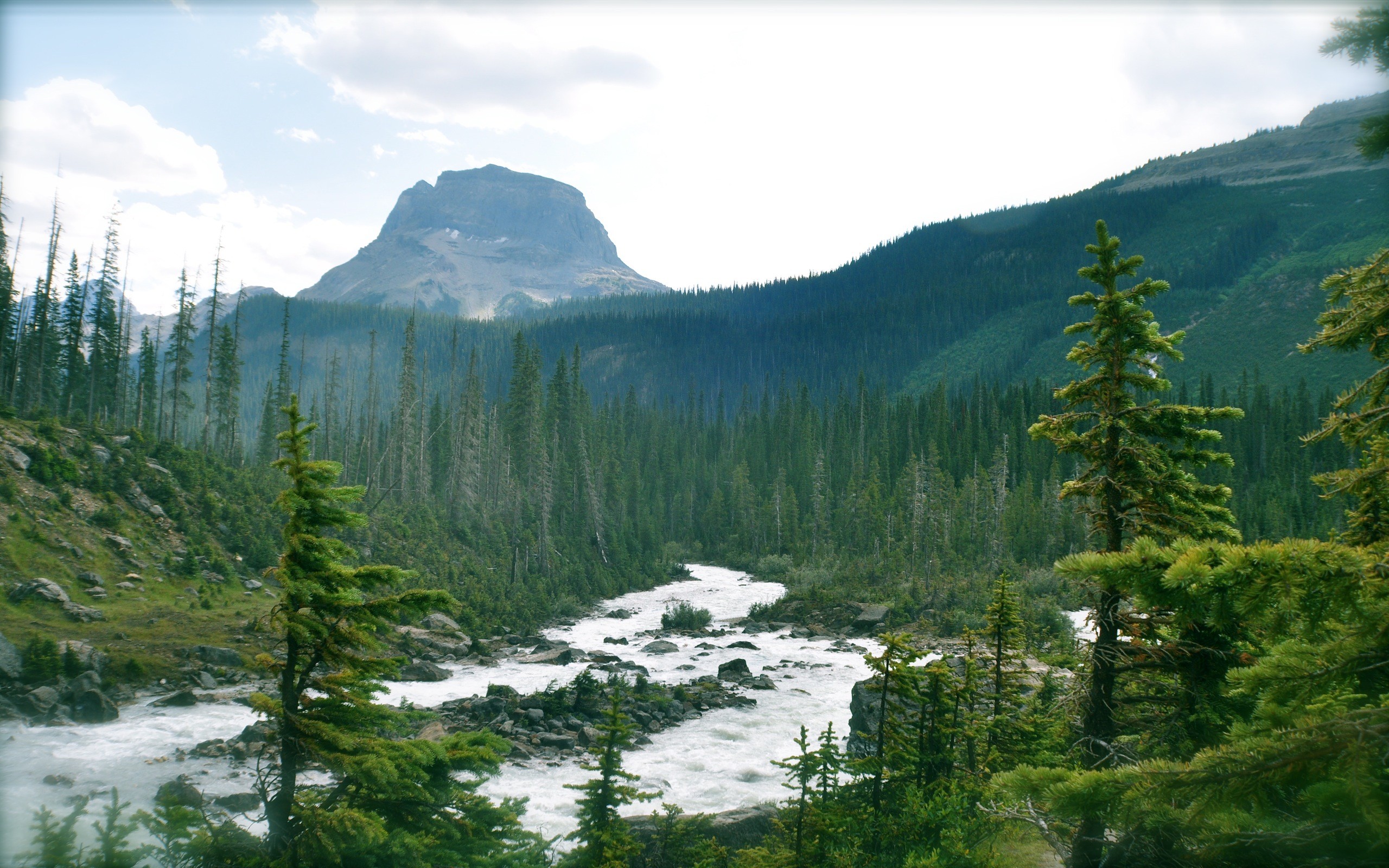 Forests: Nature Forest Beautiful Cloudy Mountains River Canadian ...