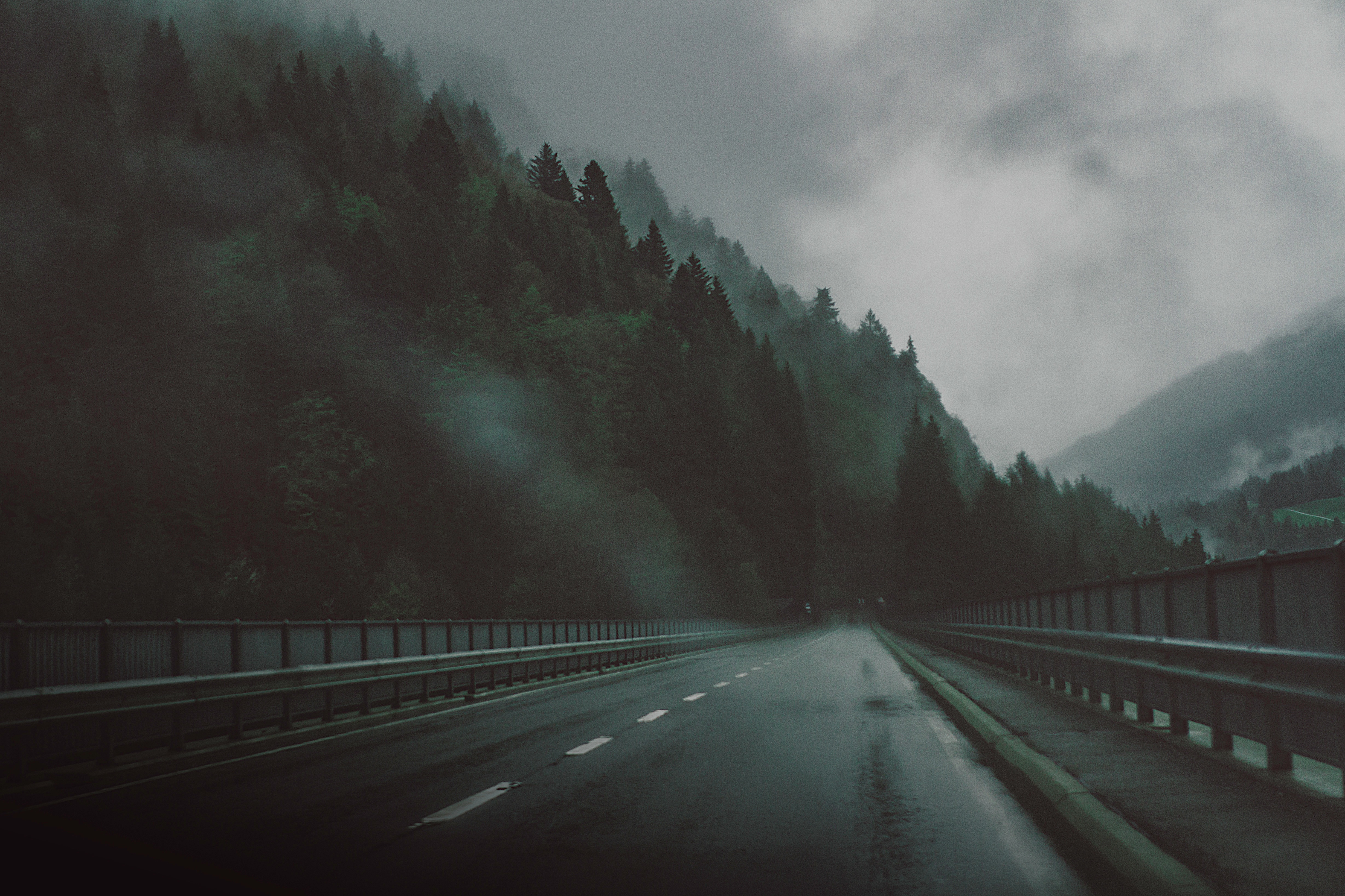 Foggy Road in Switzerland image - Free stock photo - Public Domain ...