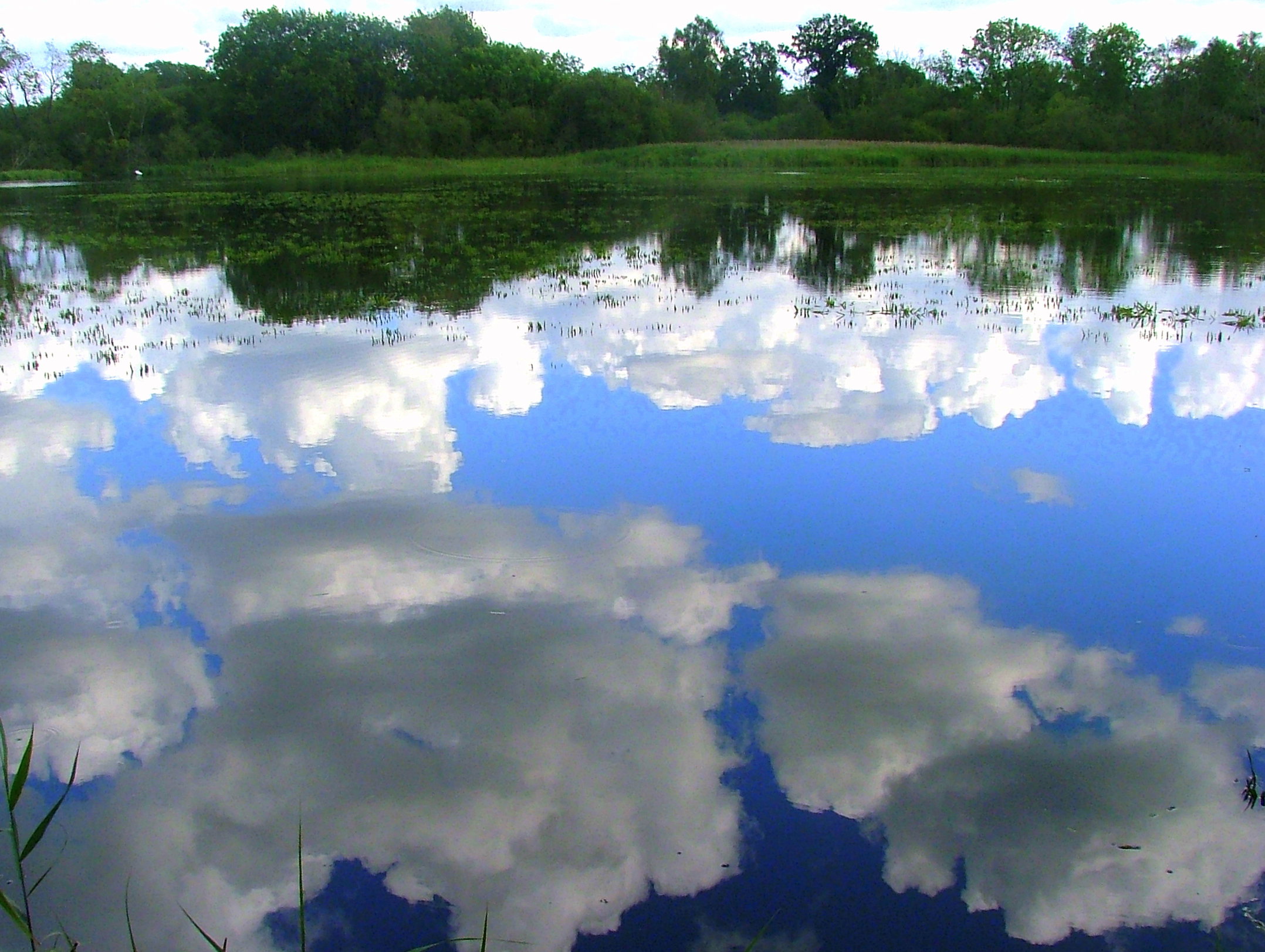 Cloudy reflection by Callie1979 on DeviantArt