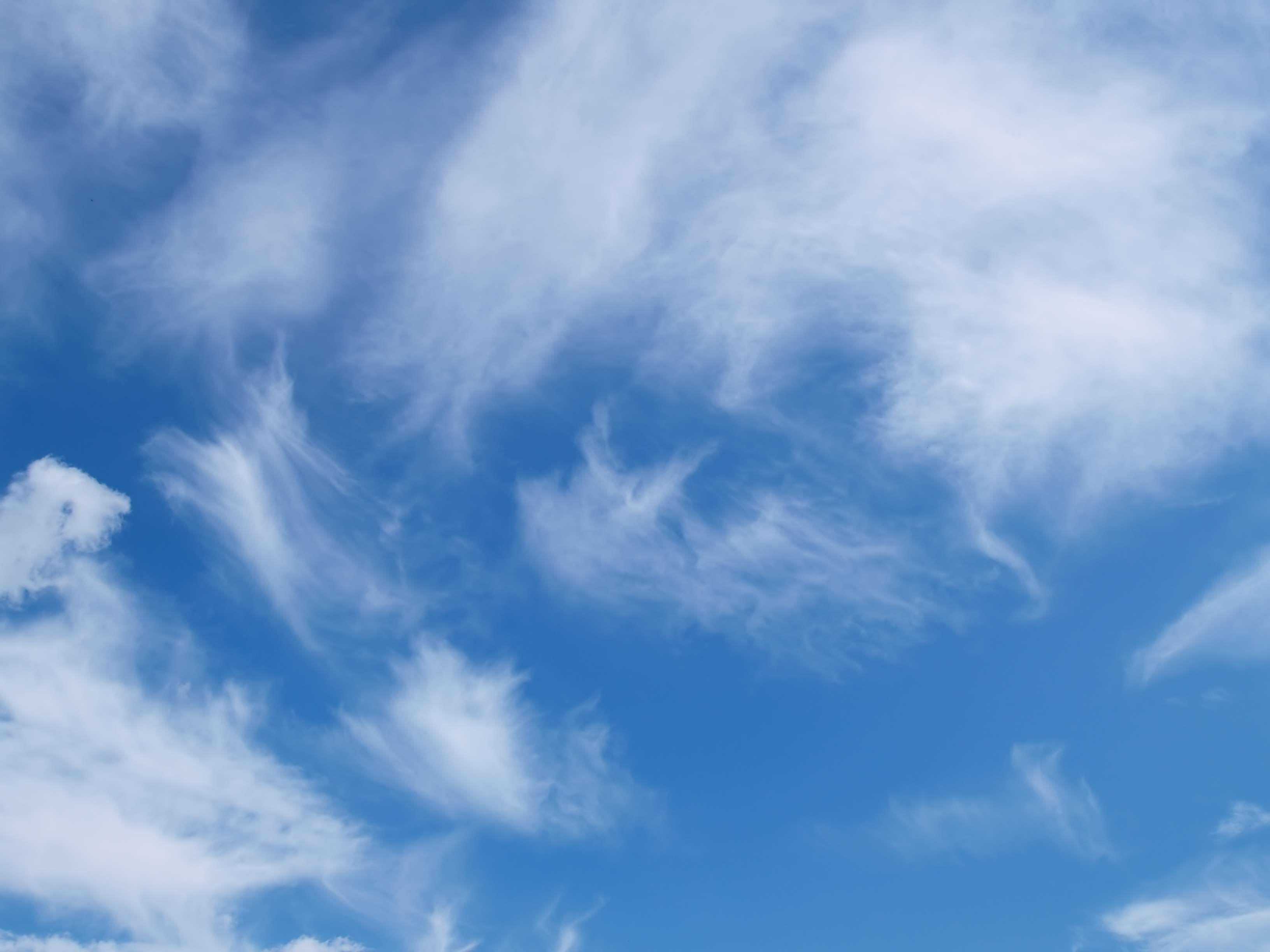 background image #backgrounds #blue #blue sky #cloud #clouds #cloudy ...
